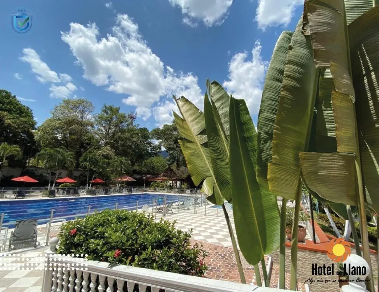 Swimming Pool in Hotel del Llano