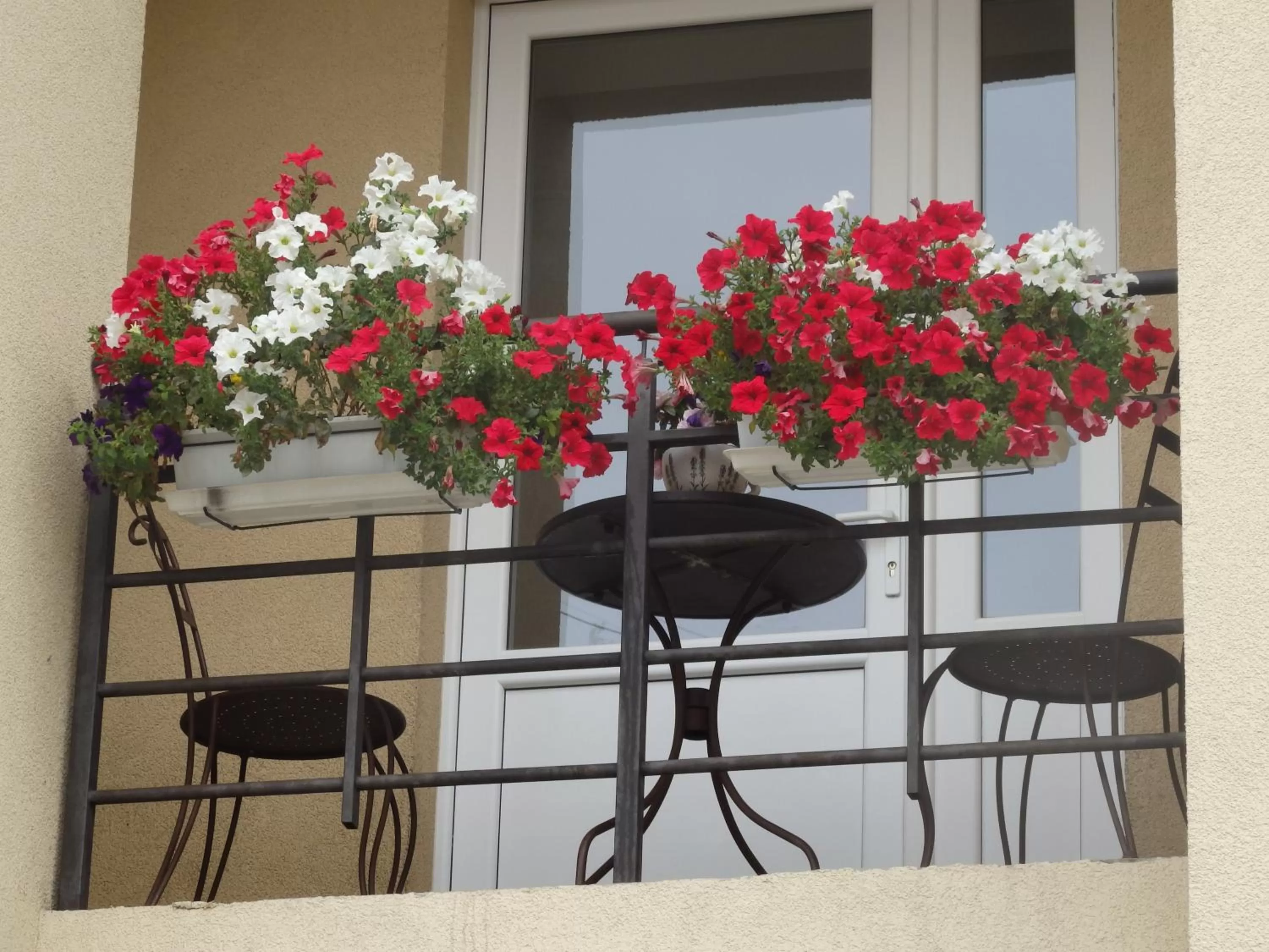 Balcony/Terrace in Happy Hotel