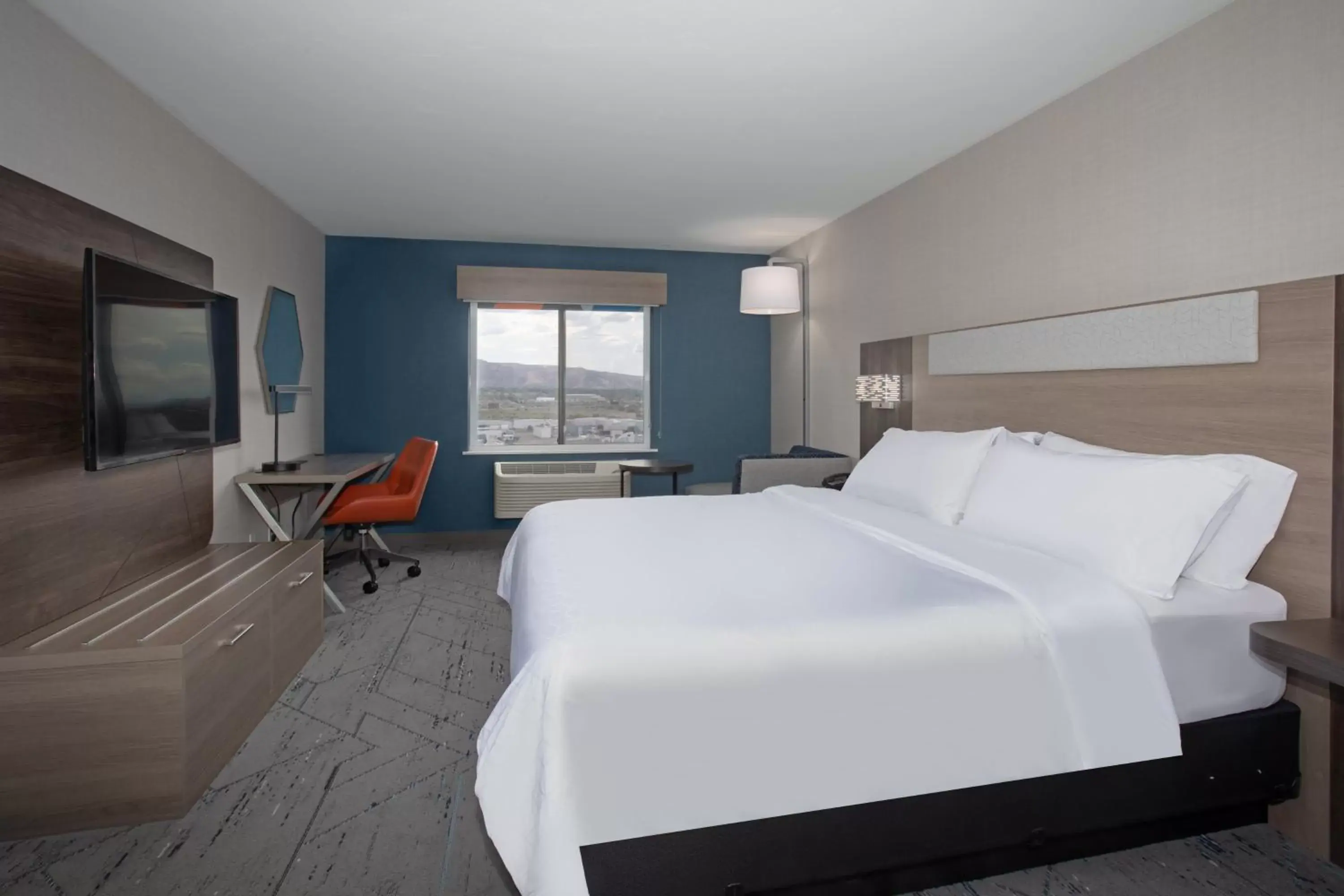 Photo of the whole room in Holiday Inn Express Hotel & Suites Grand Junction, an IHG Hotel