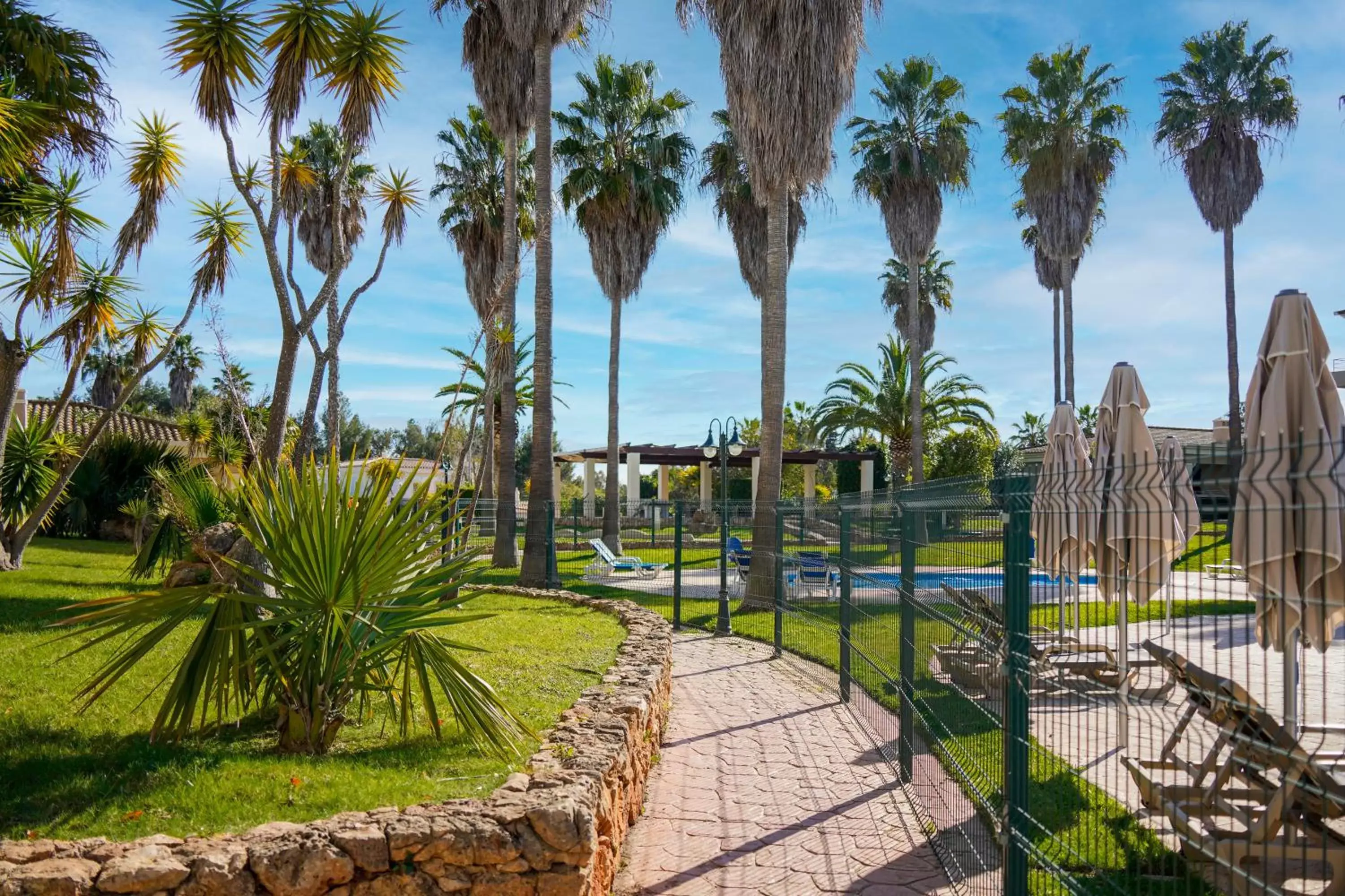 Garden in Vitor's Plaza