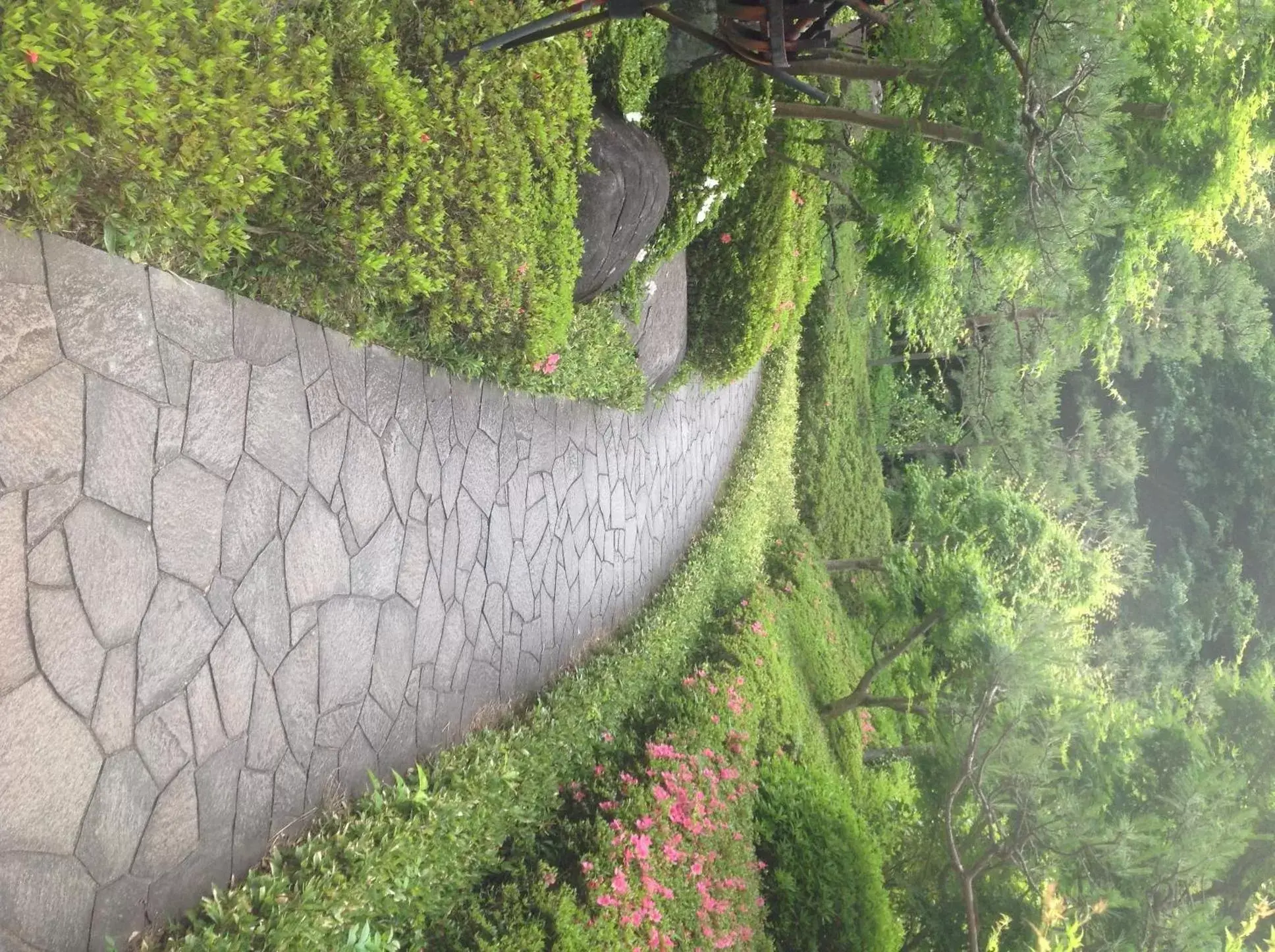 Garden in Narita Gateway Hotel