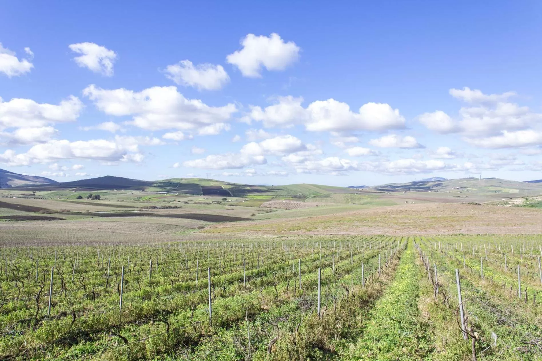 Bird's eye view in La Dimora Di Segesta B&B
