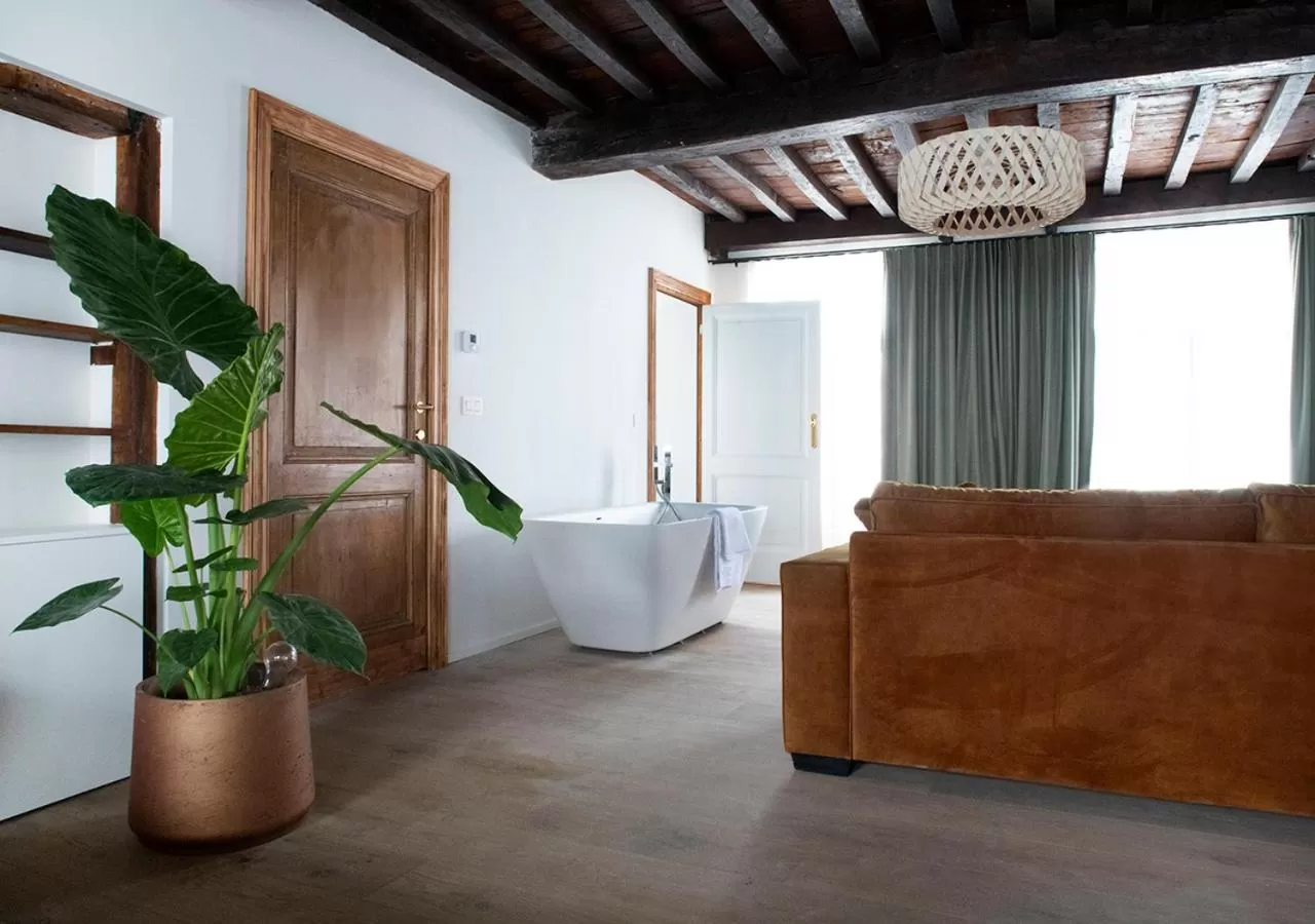 Photo of the whole room in The Greenhouse