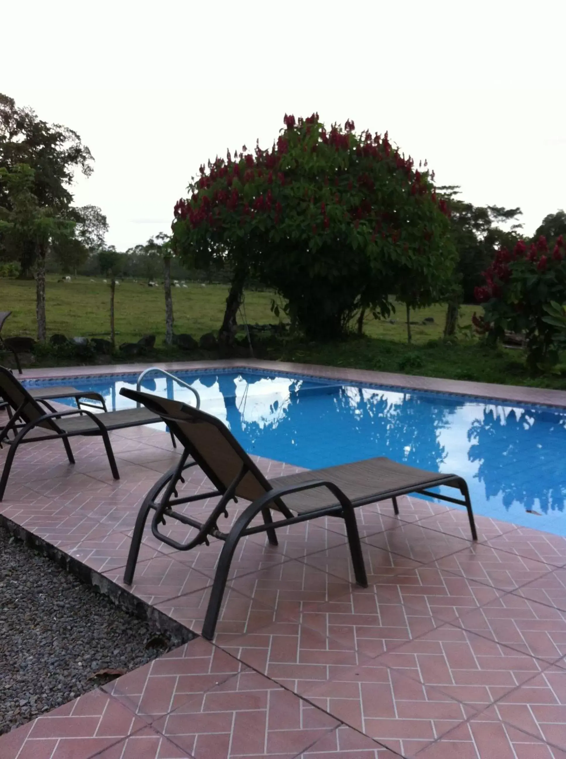 Swimming Pool in Hotel Villas Vista Arenal