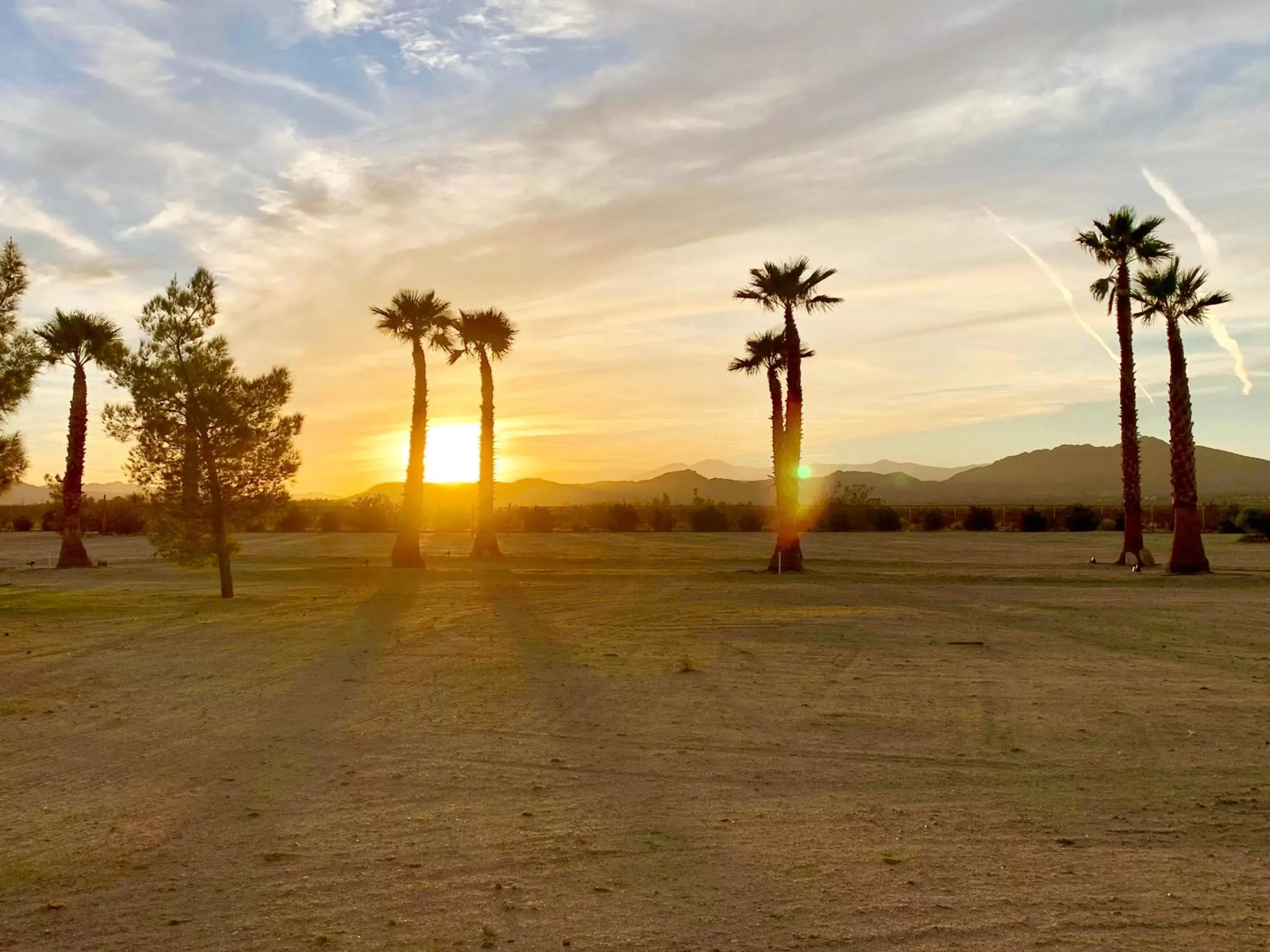 Natural landscape, Sunrise/Sunset in The Castle House Estate