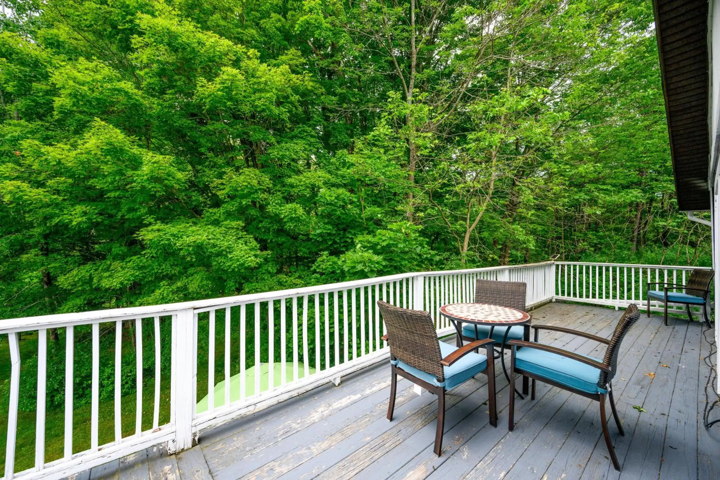 Balcony/Terrace in Mountain Treasure Bed and Breakfast