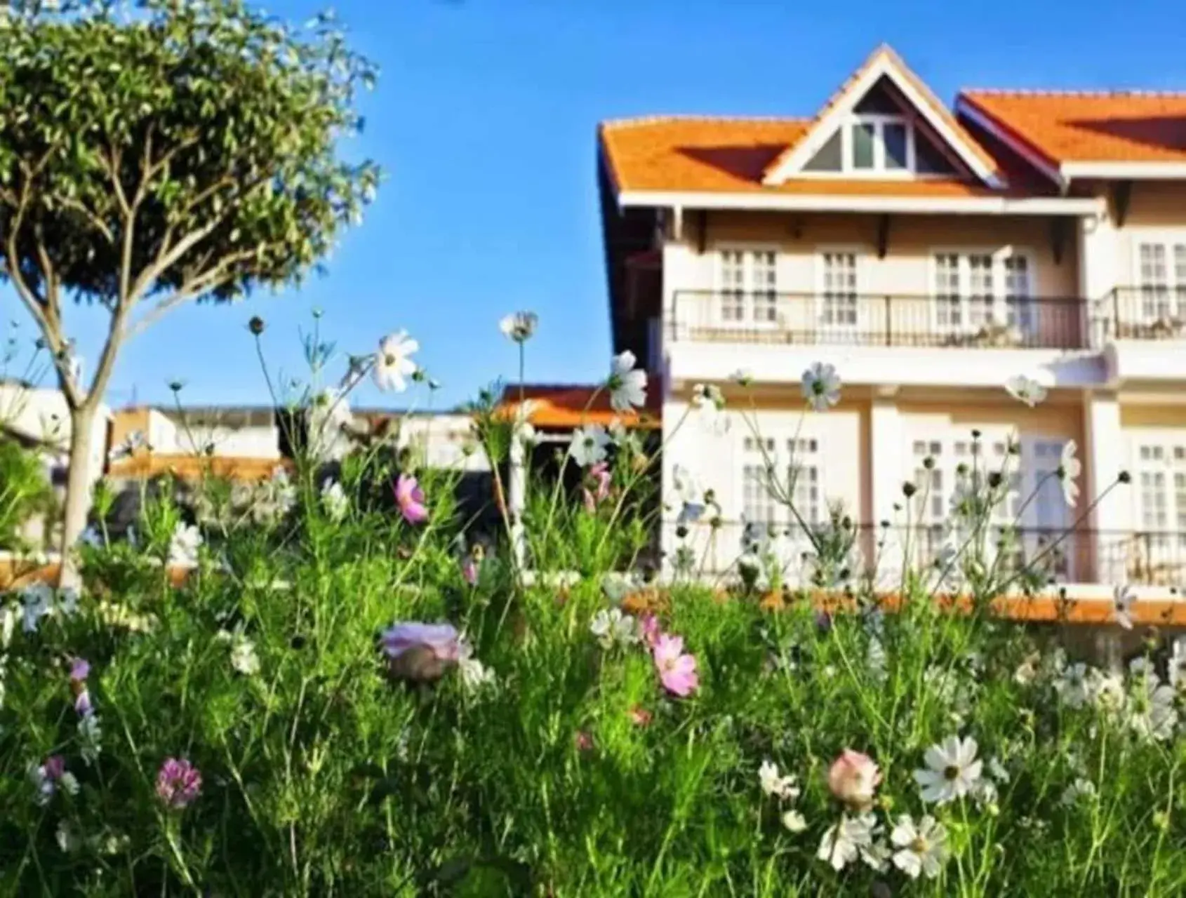 Property Building in Dalat Terrasse Des Roses Villa