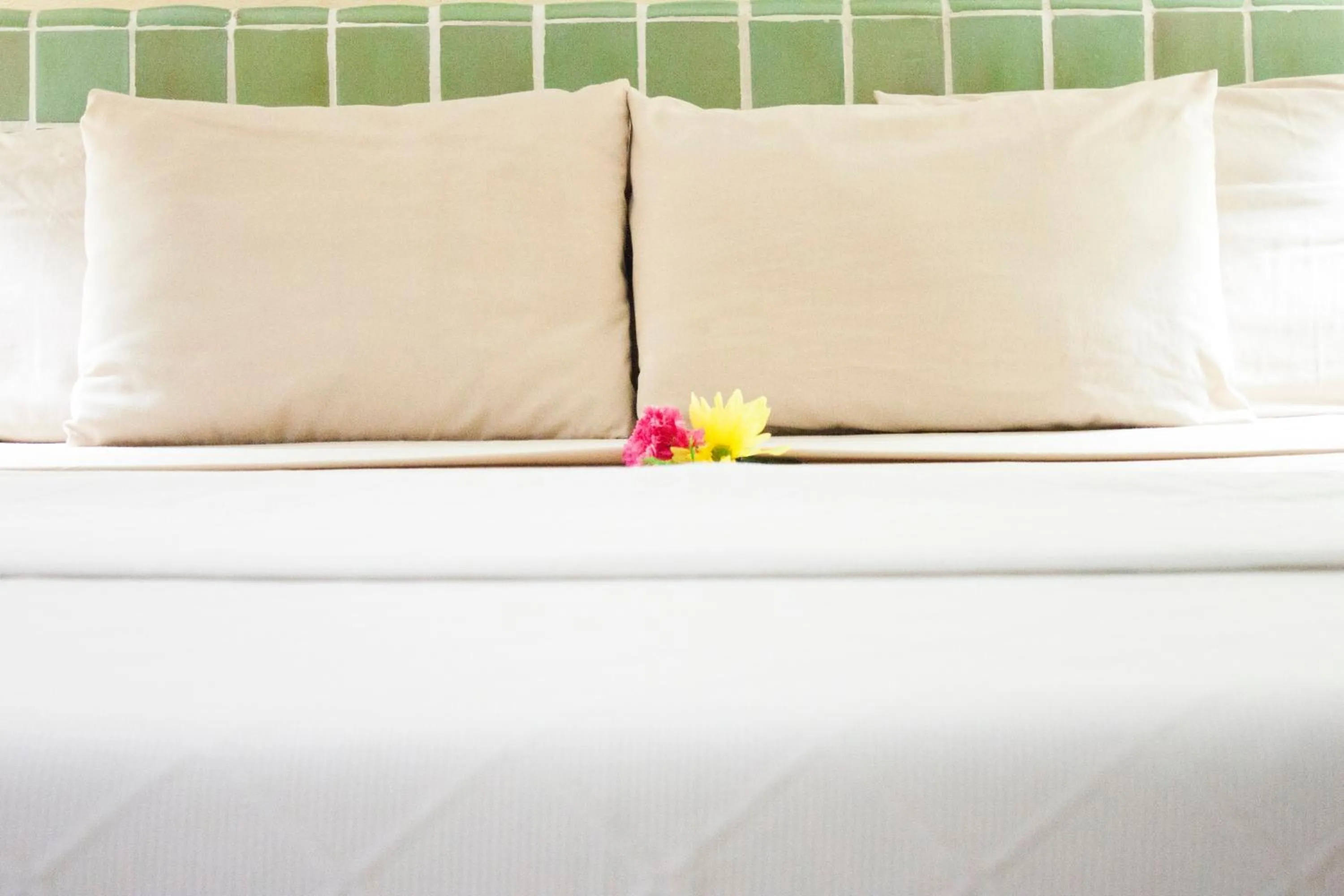 Bedroom, Bed in Coral Ixtapa