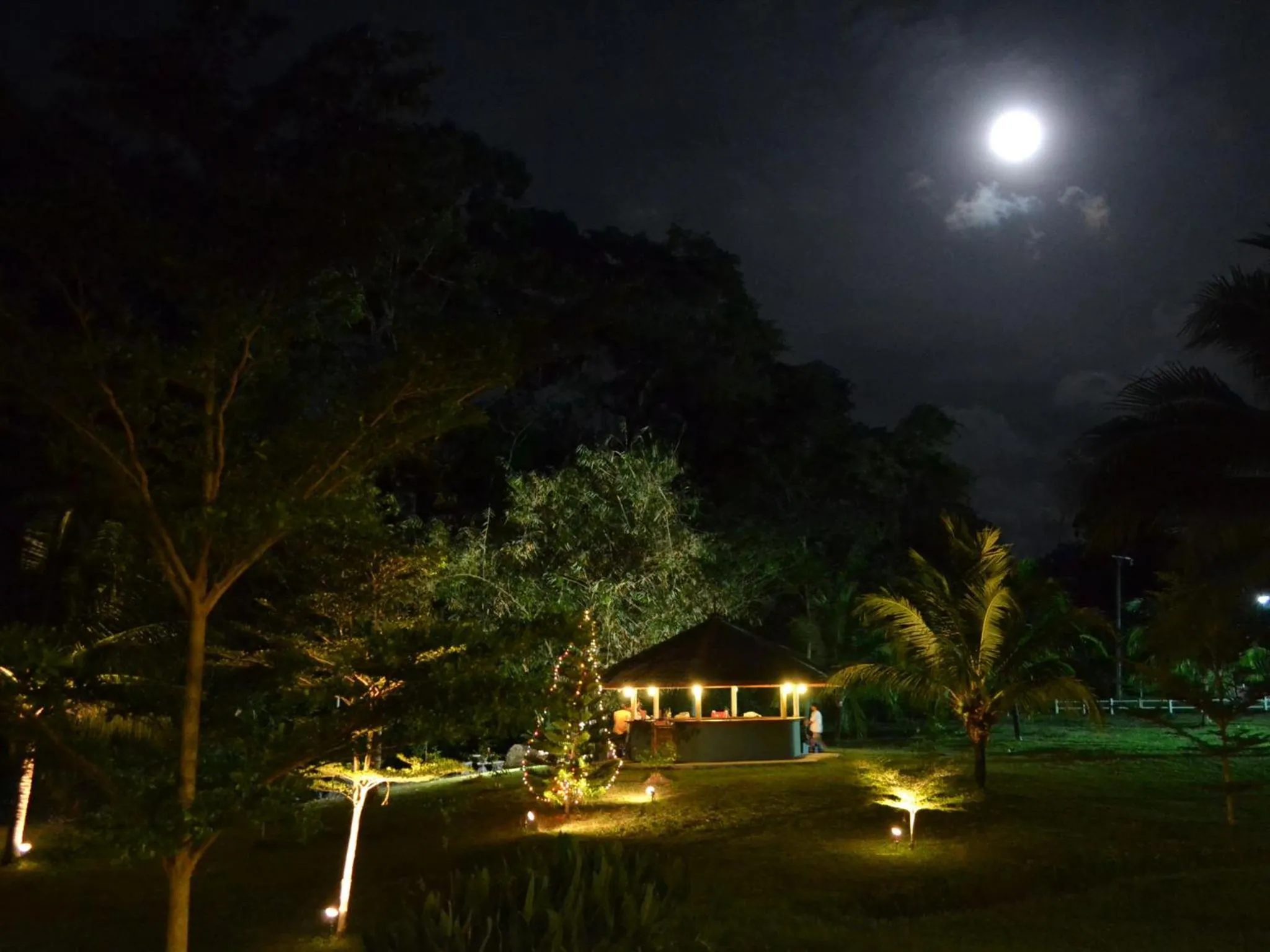 Garden in Phuket Campground
