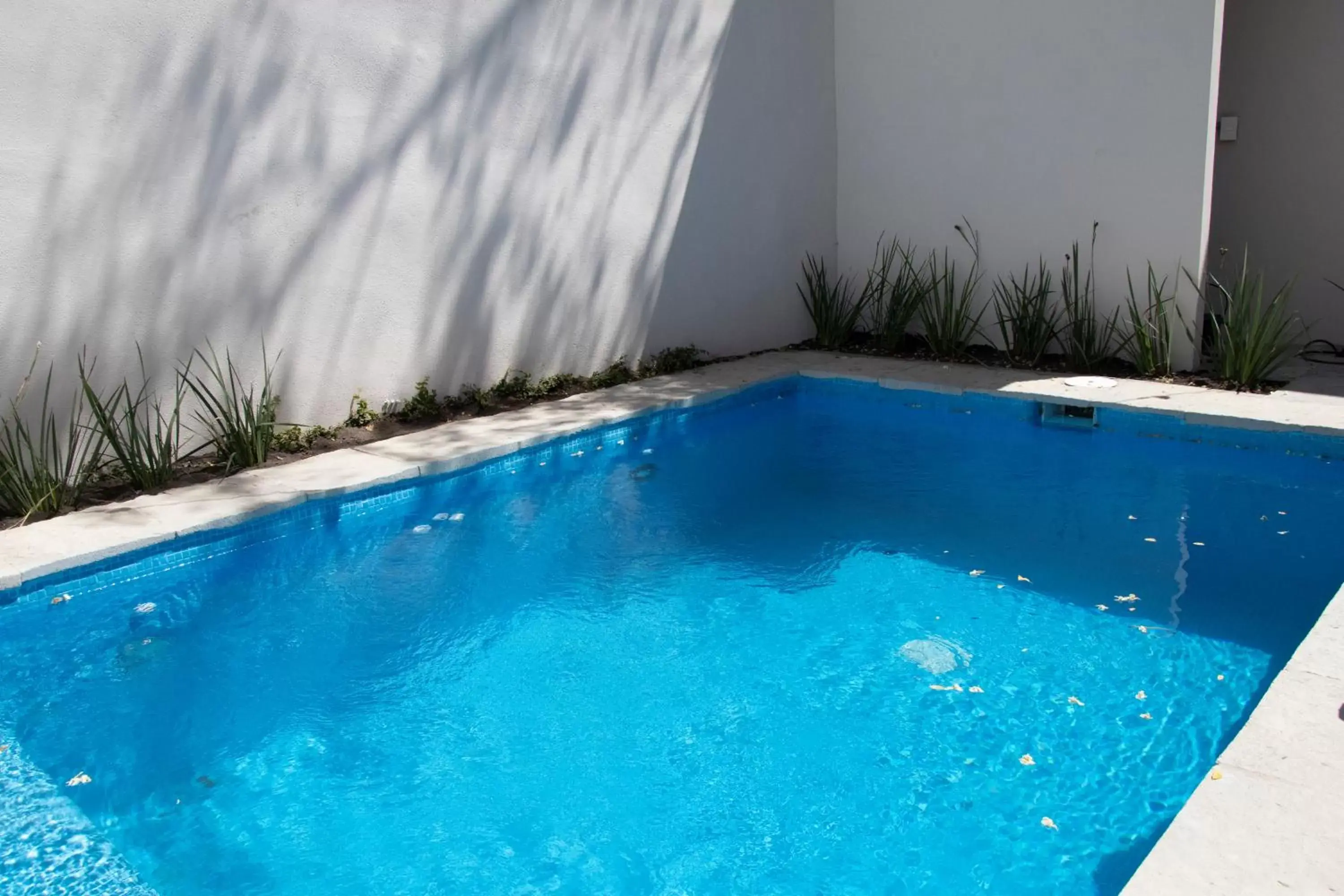 Swimming Pool in Playa Azul Sayulita