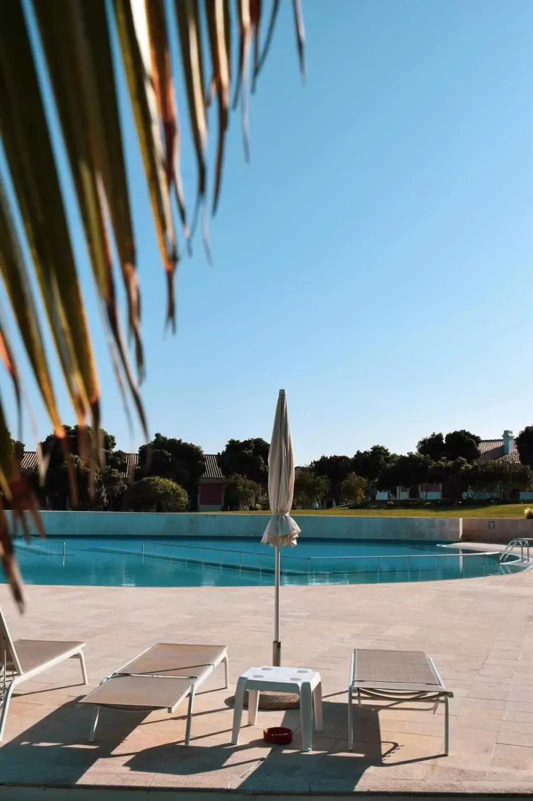 Swimming pool, Beach in Vila Bicuda Resort