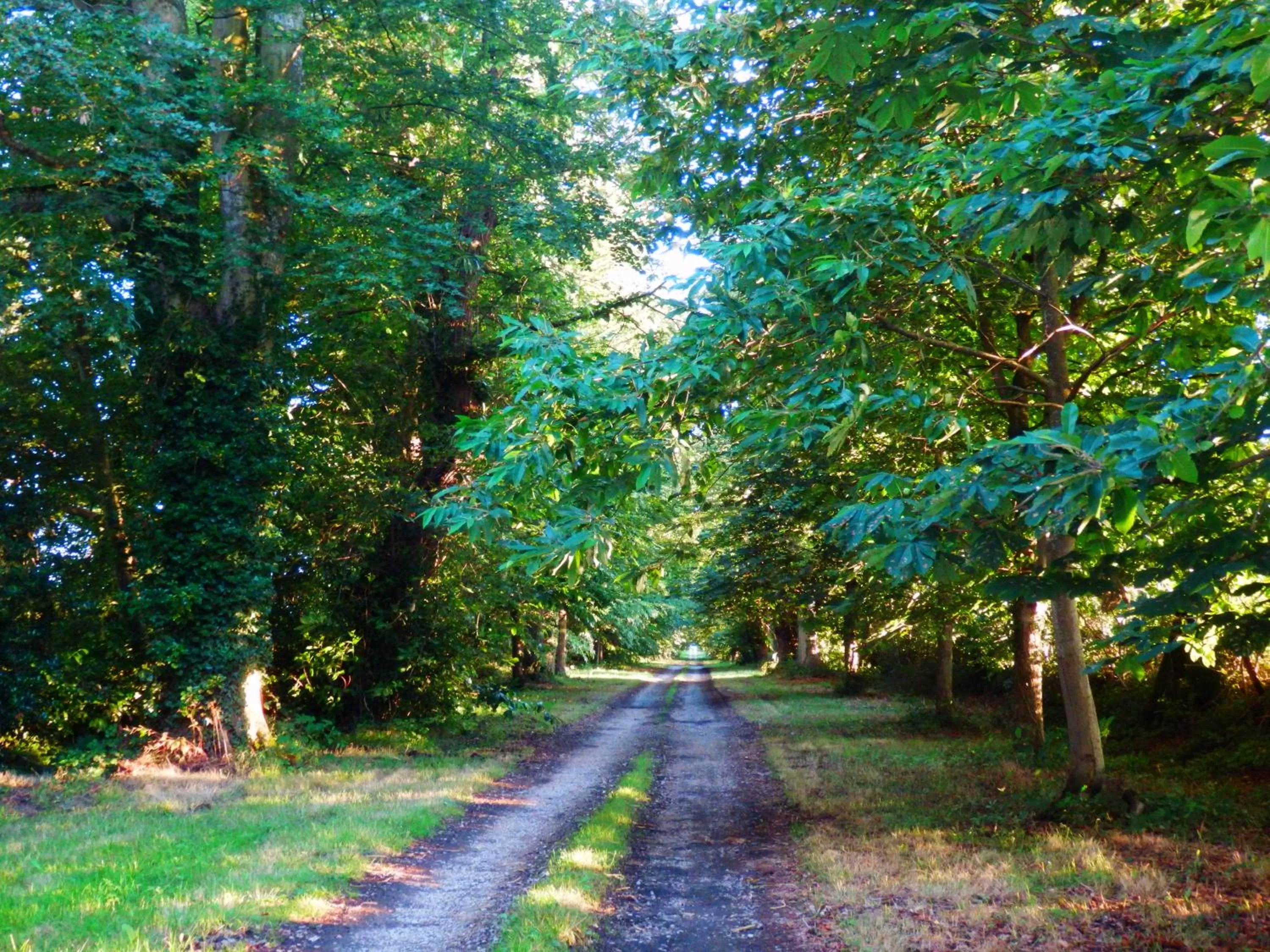 Summer in Hôtel des 4 continents - Le Mans