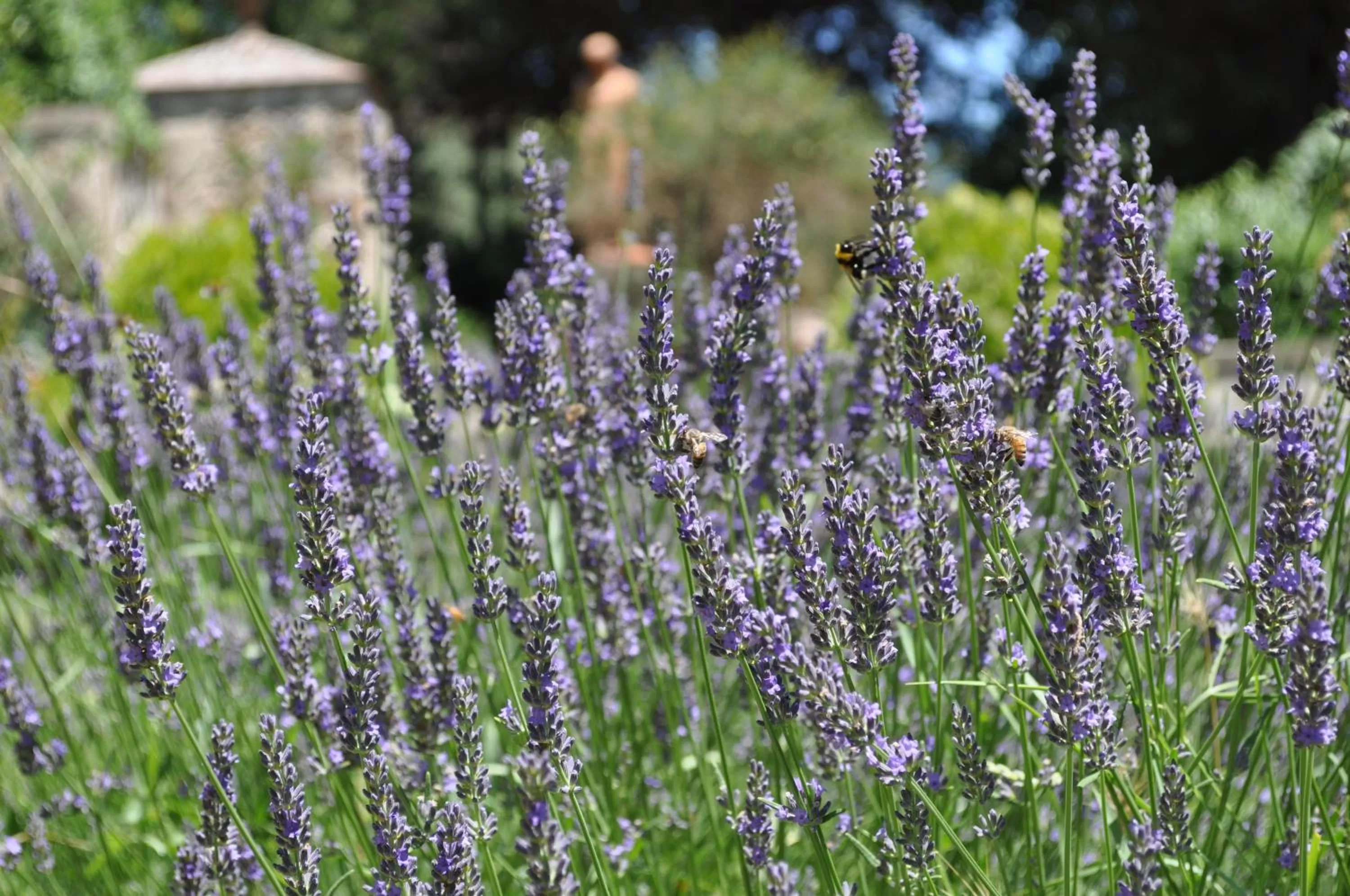 Garden in Armonie di Villa Incontri B&B