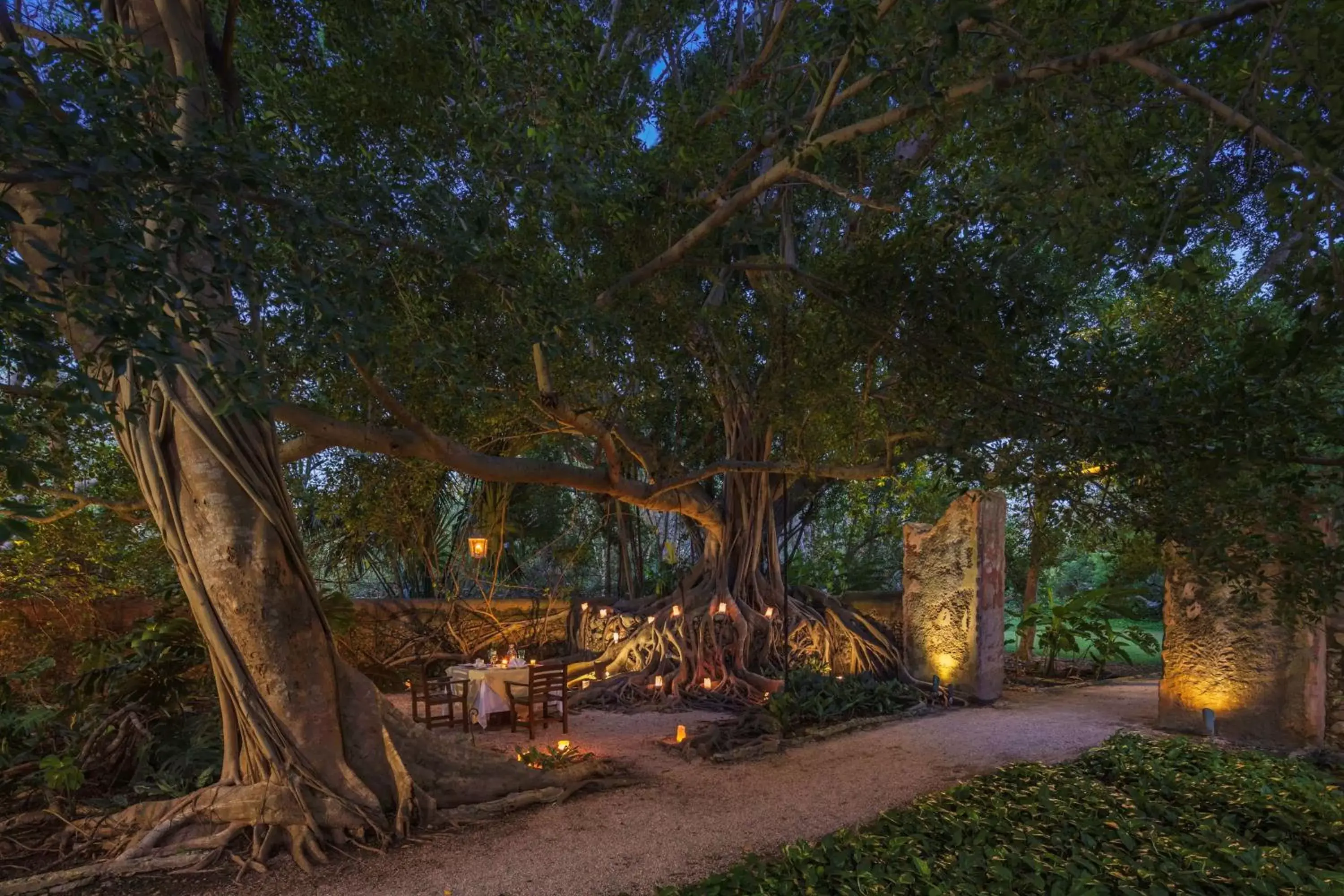 On site, Garden in Hacienda San Jose