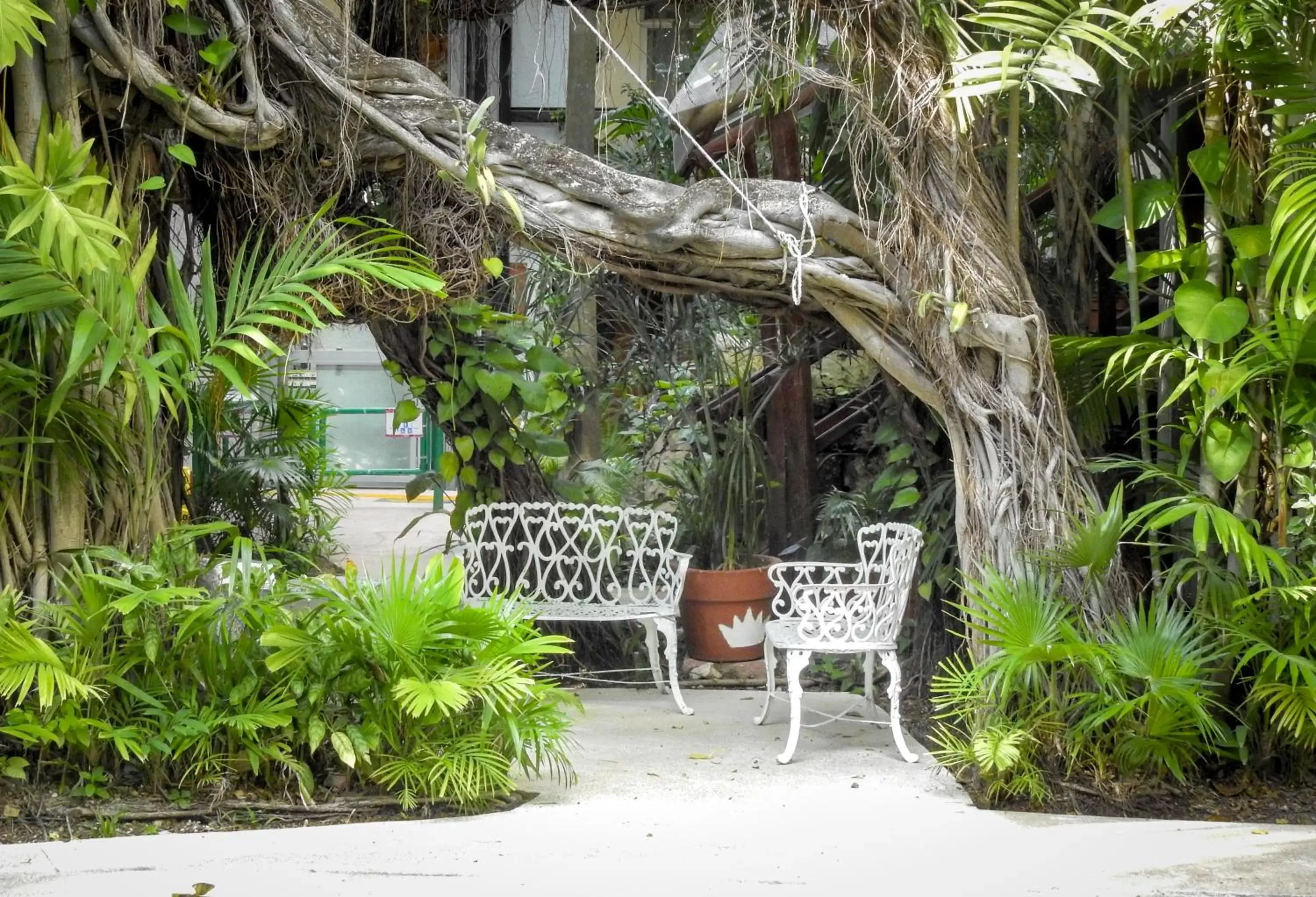 Garden in Eco-hotel El Rey del Caribe