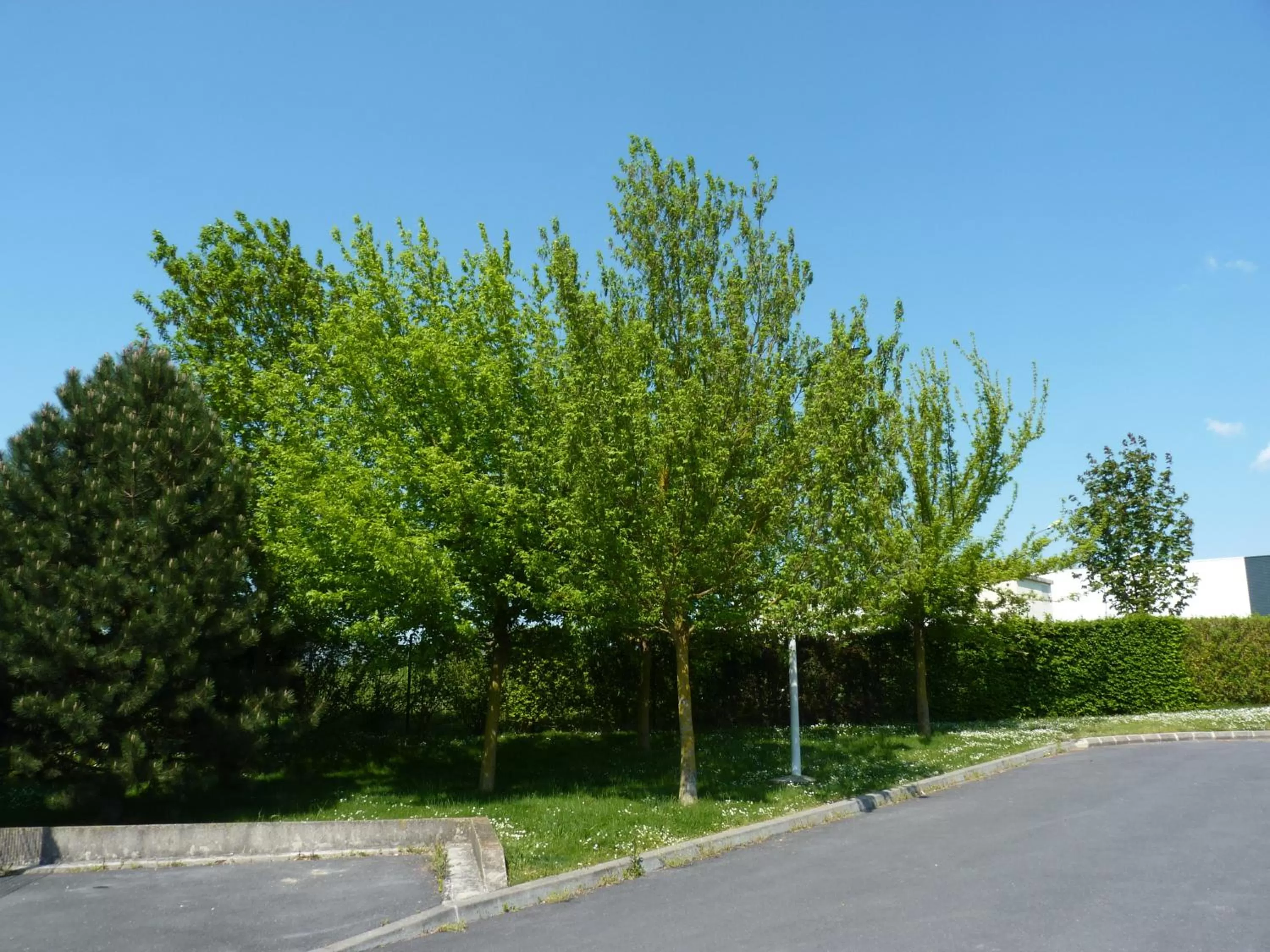 Garden in B&B HOTEL Châlons-en-Champagne
