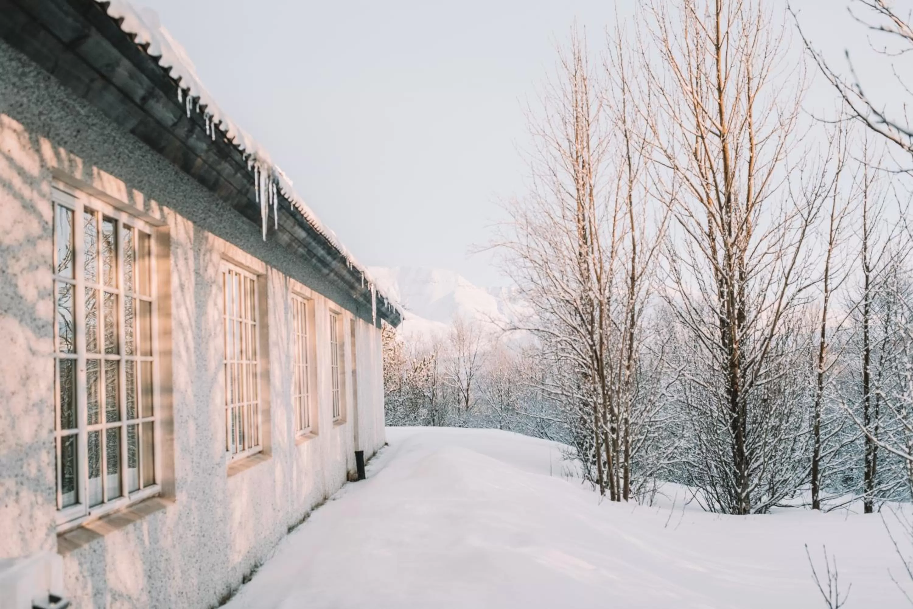 Garden view in Hotel Laxnes