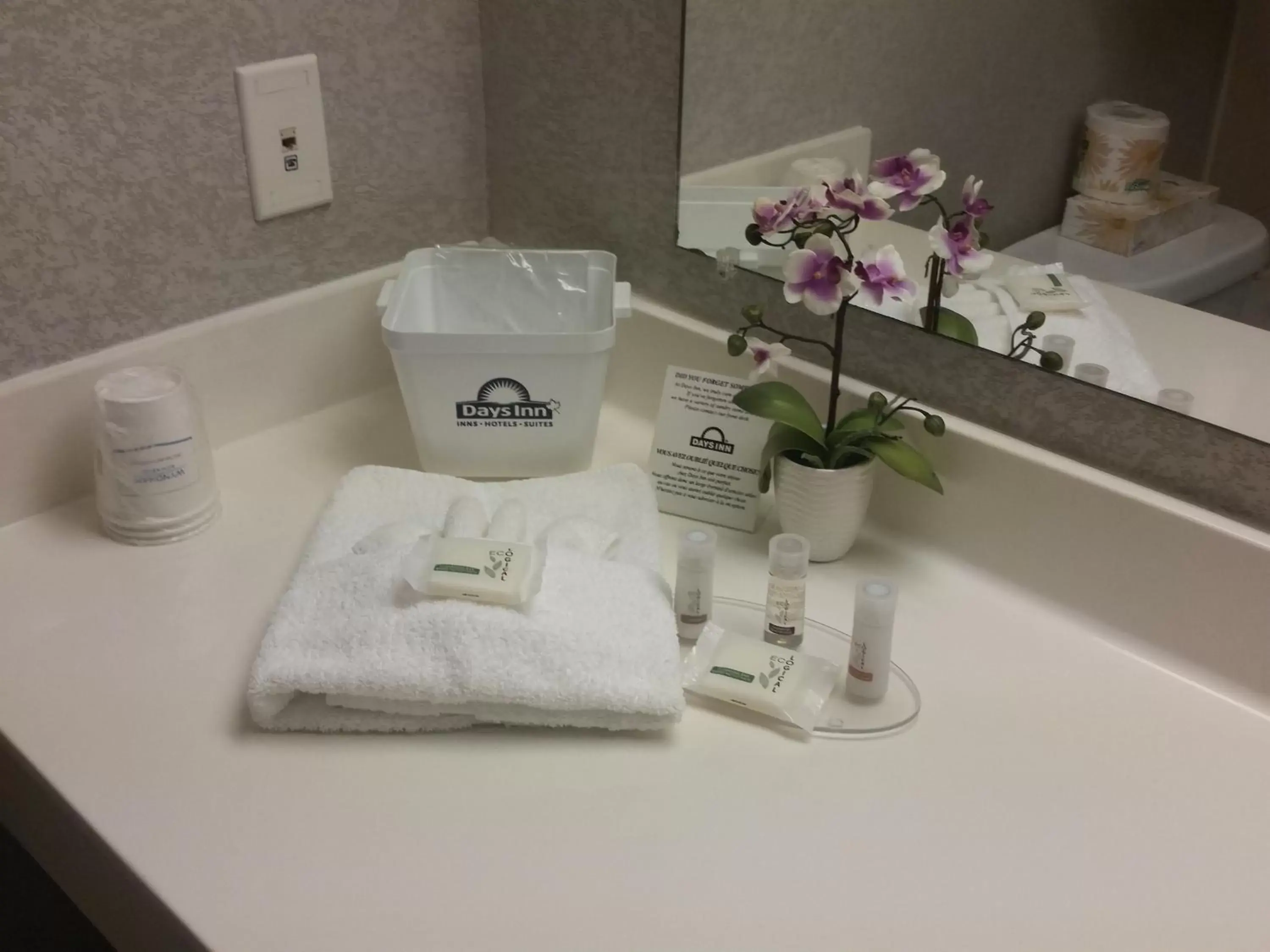 Deluxe Business Queen Room - Non-Smoking in Days Inn by Wyndham Ottawa Airport Deluxe Business Queen Room - Non-Smoking in Days Inn by Wyndham Ottawa Airport