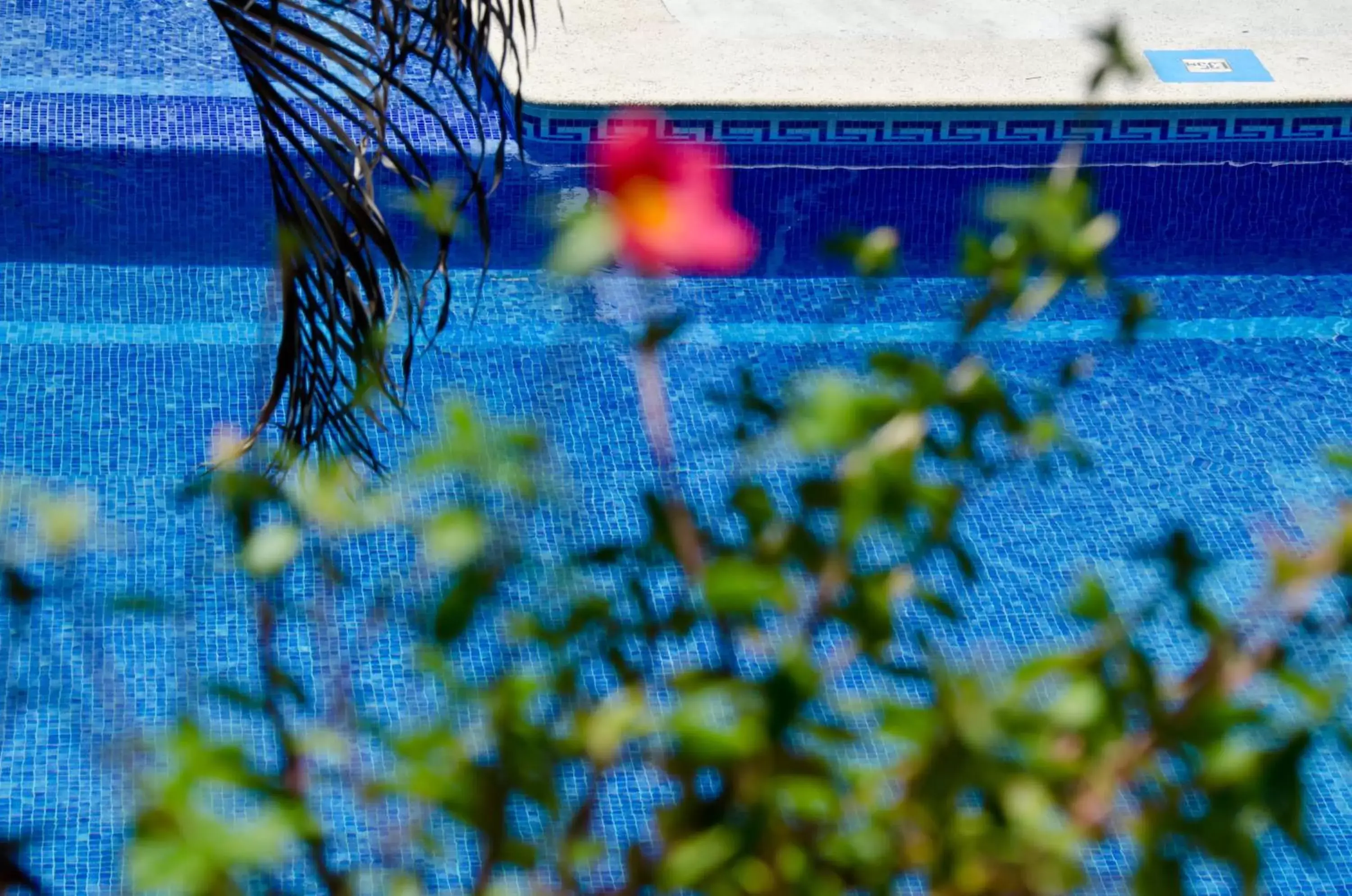 Swimming pool in Hotel Hacienda Vallarta - Playa Las Glorias