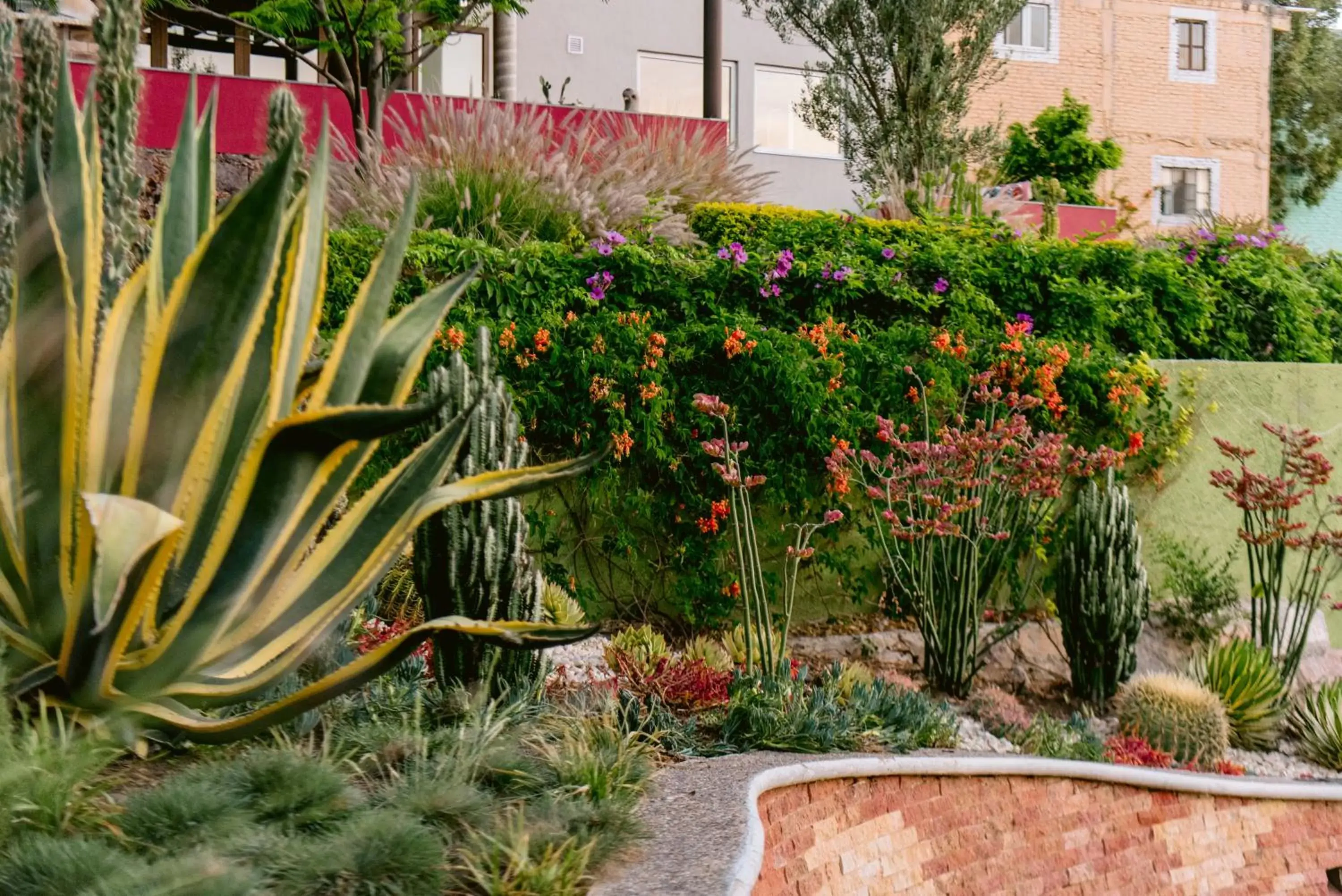 Garden in Terra Vista