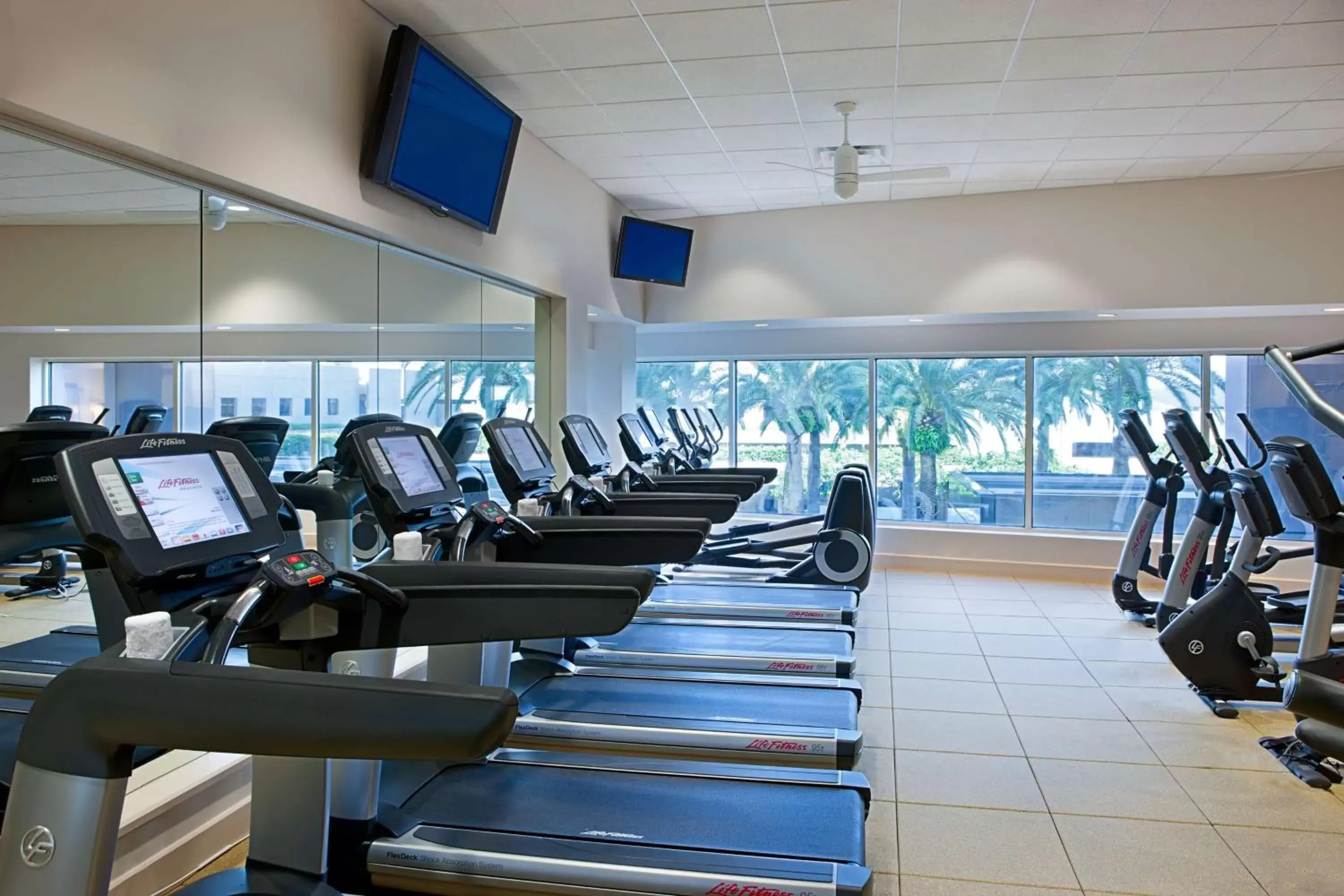 Fitness centre/facilities, Fitness Center/Facilities in Grand Hyatt Tampa Bay