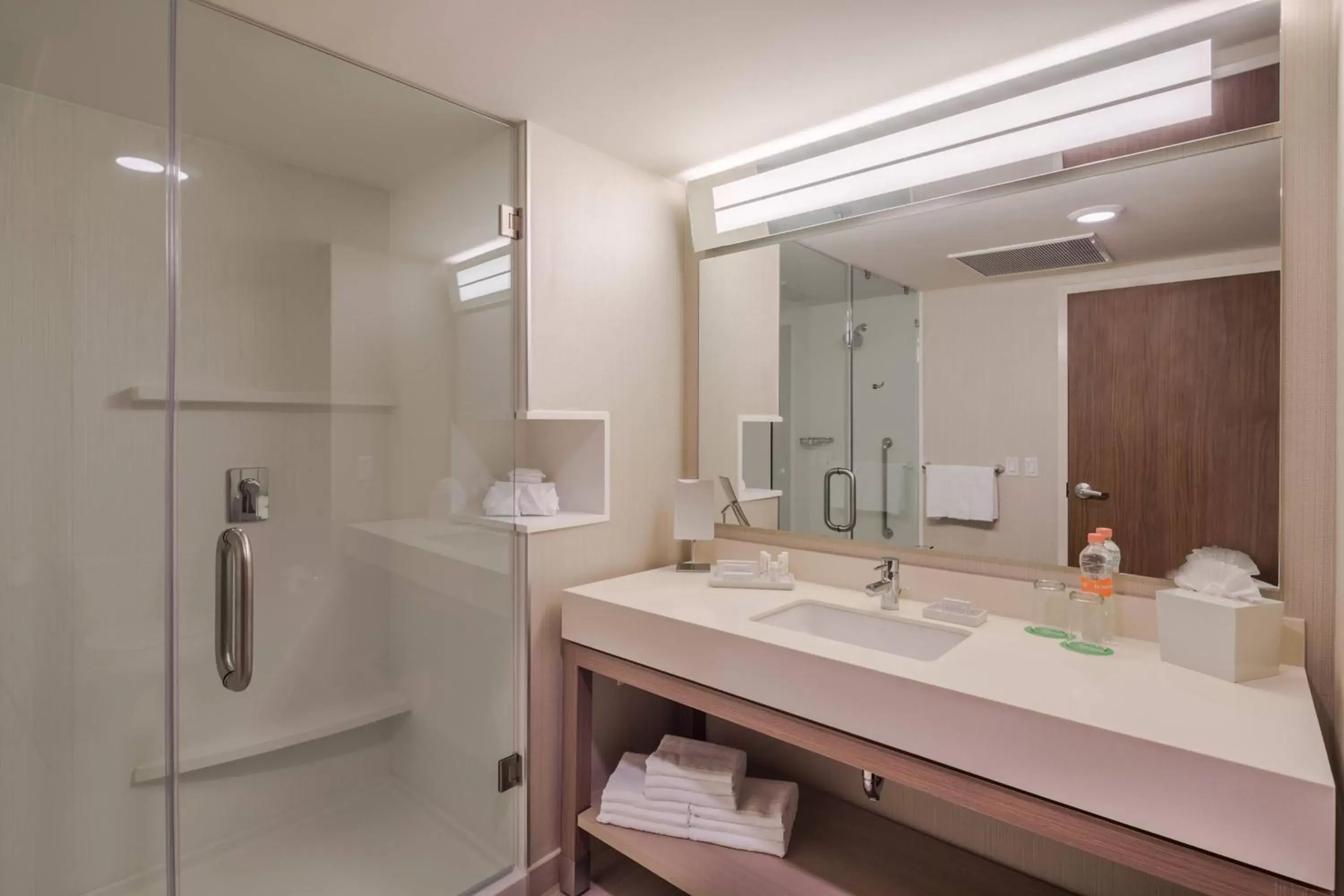 Bathroom in Courtyard by Marriott Chihuahua