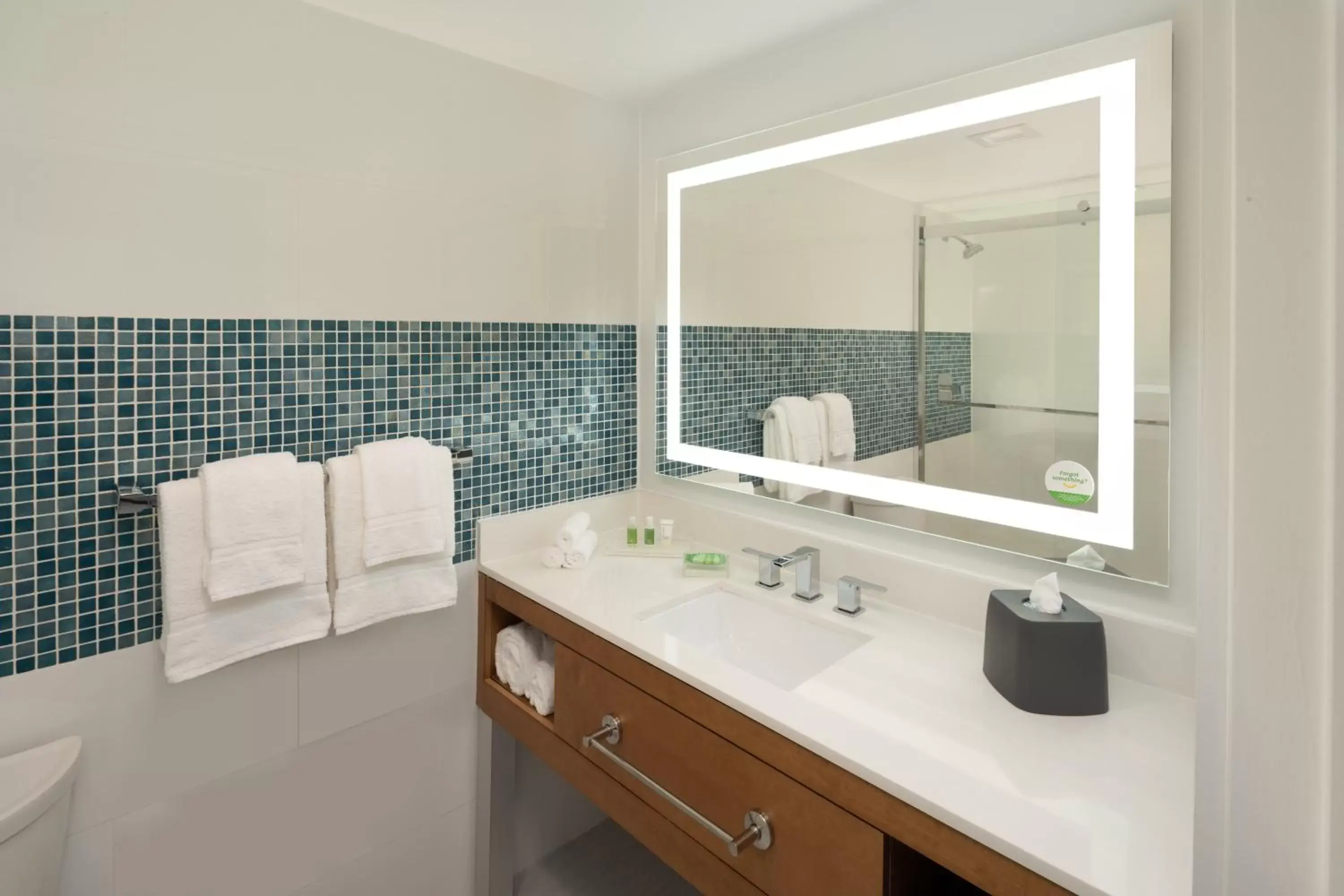 Shower, Bathroom in Holiday Inn Miami North I-95, an IHG Hotel