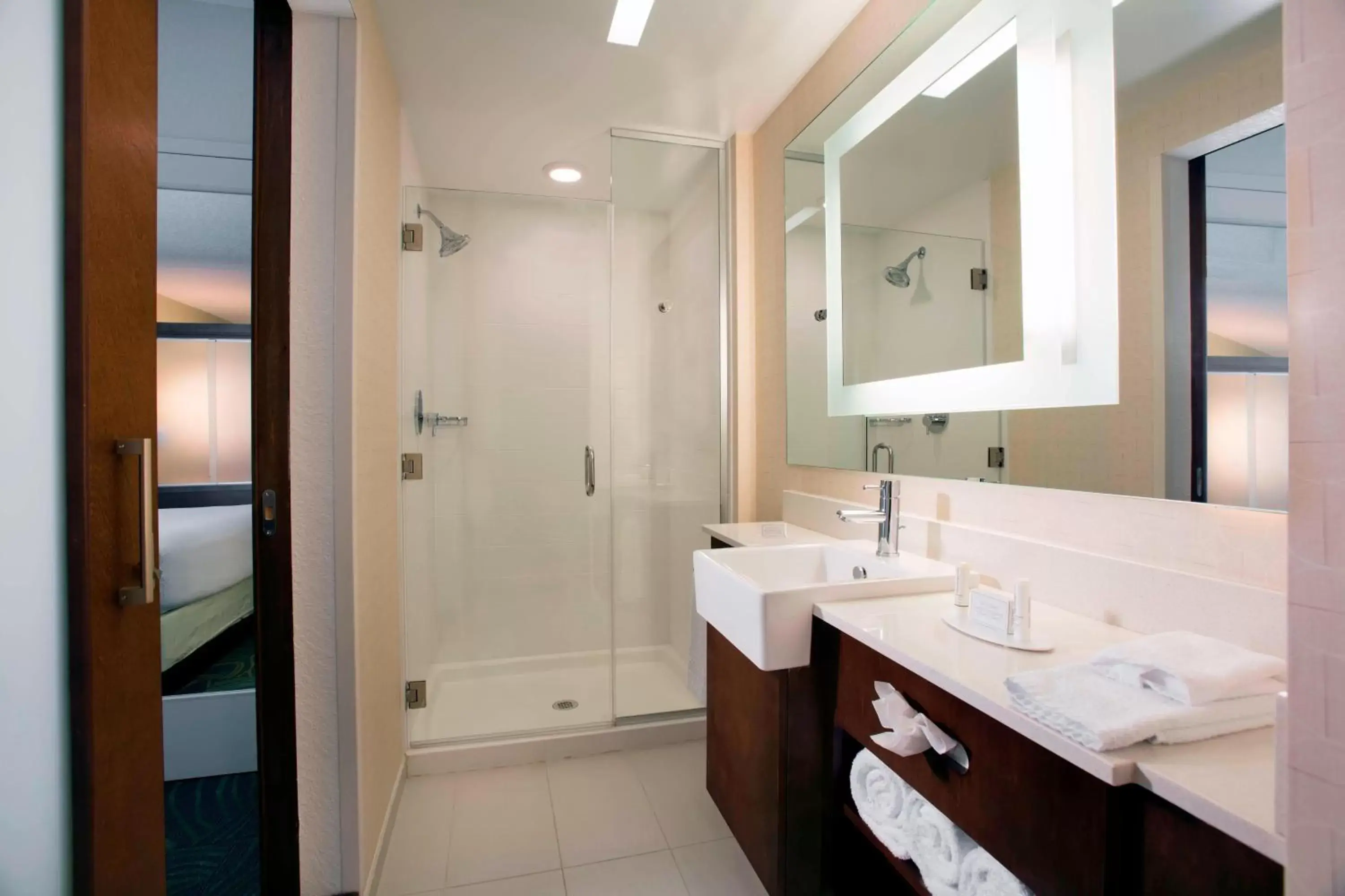 Bathroom in SpringHill Suites by Marriott Orlando at FLAMINGO CROSSINGS Town Center-Western Entrance