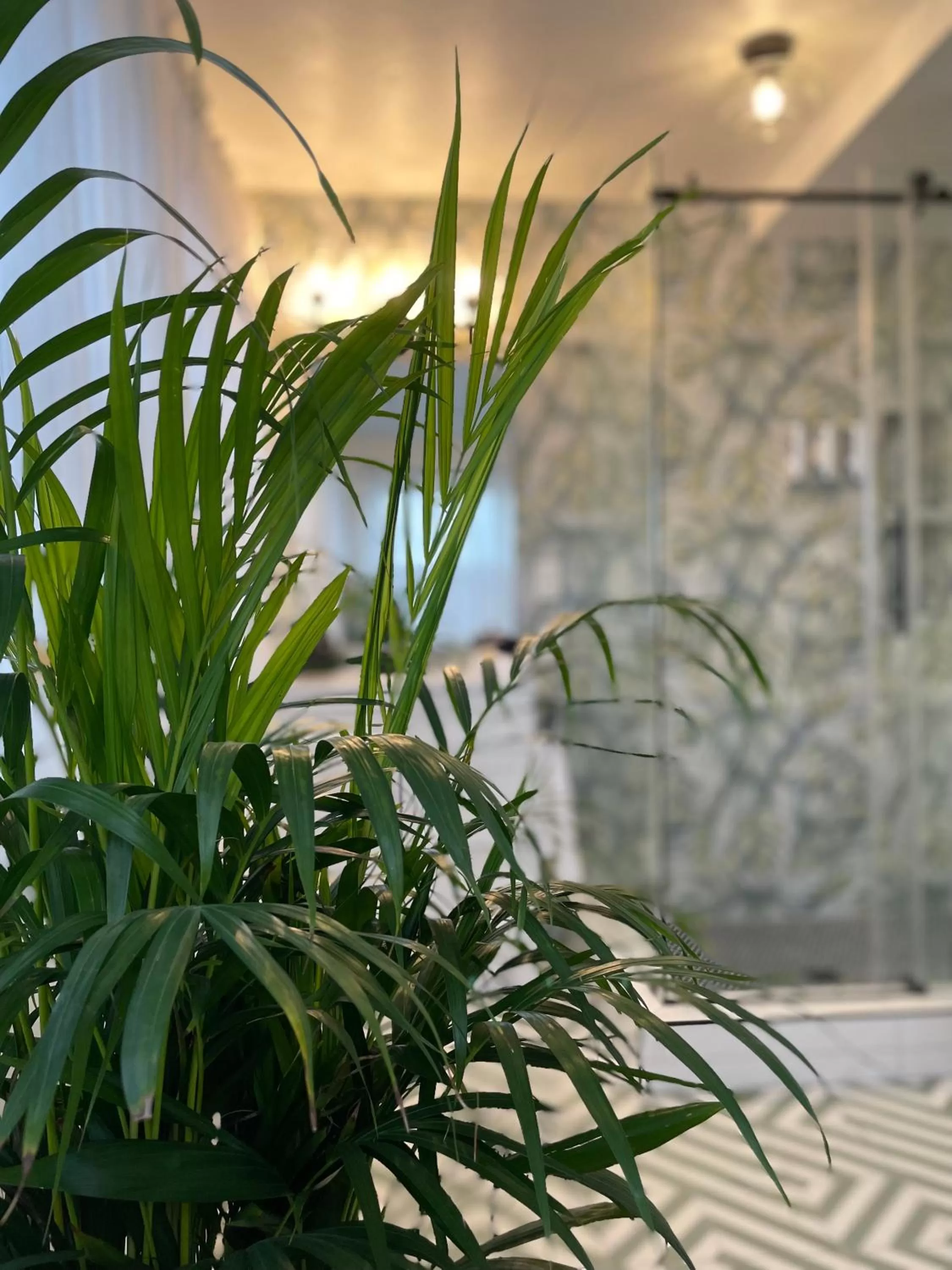 Shower in Flora House Denver