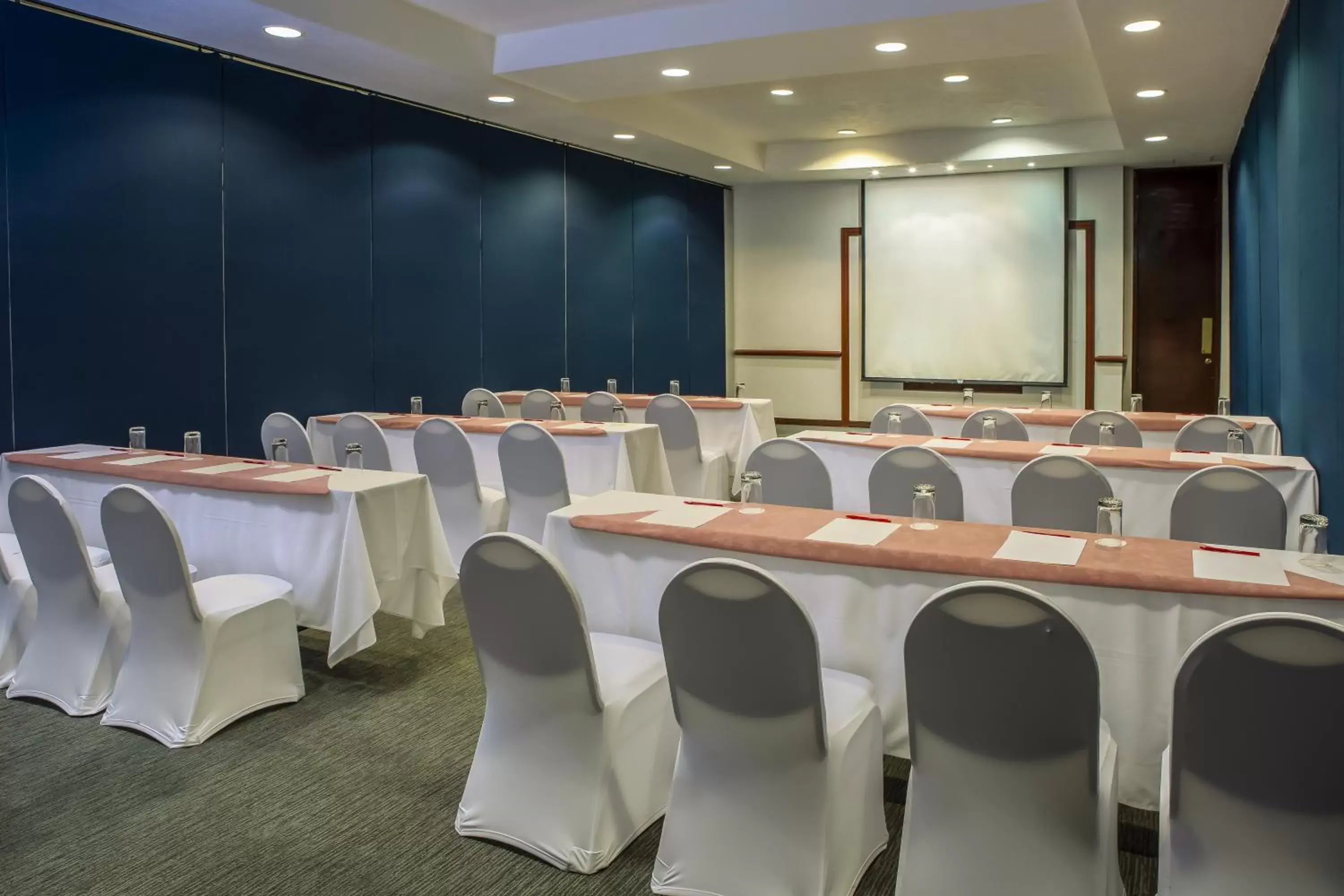 Meeting/conference room in Fiesta Inn Ciudad Juarez