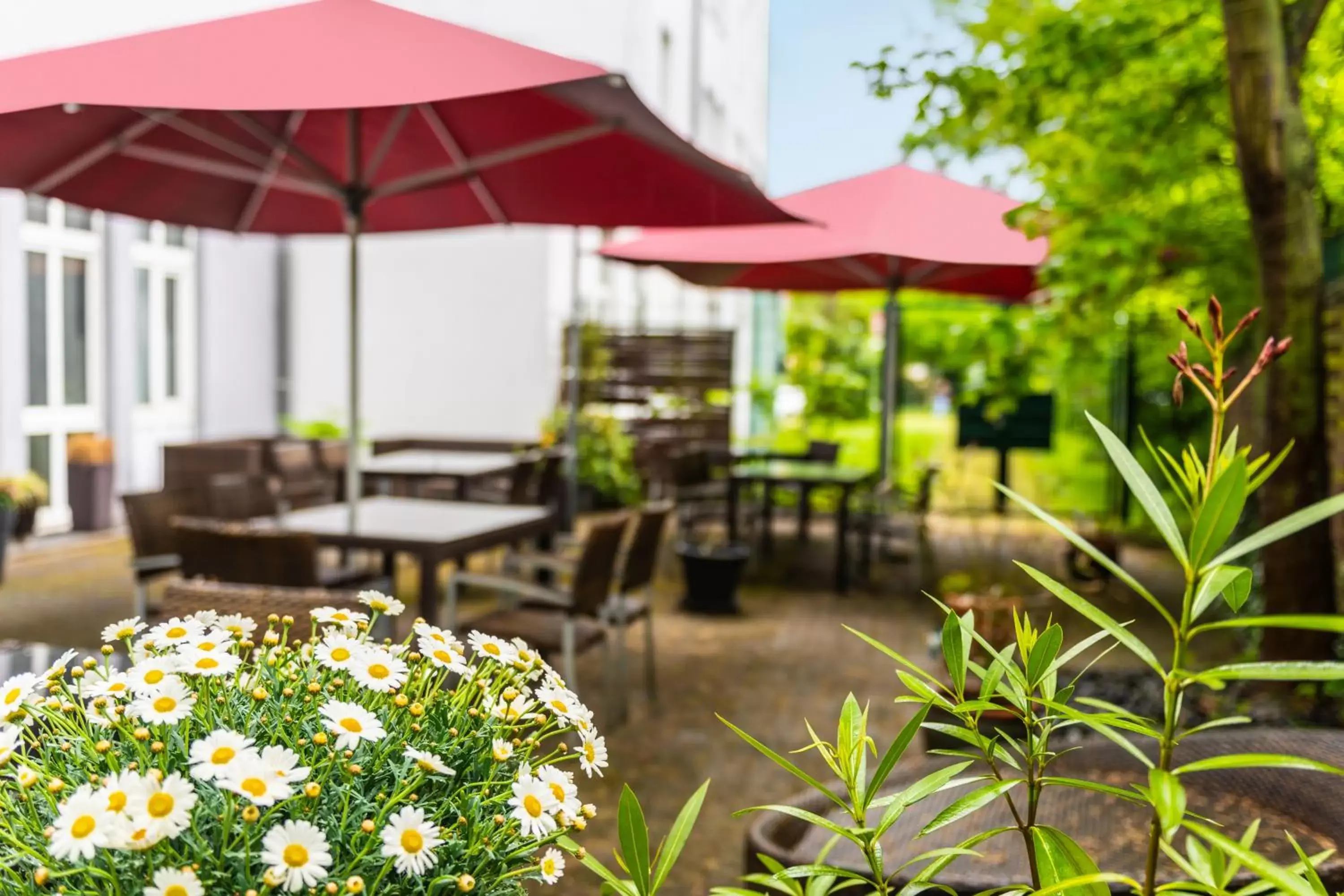 Balcony/Terrace in ibis Hotel Regensburg City