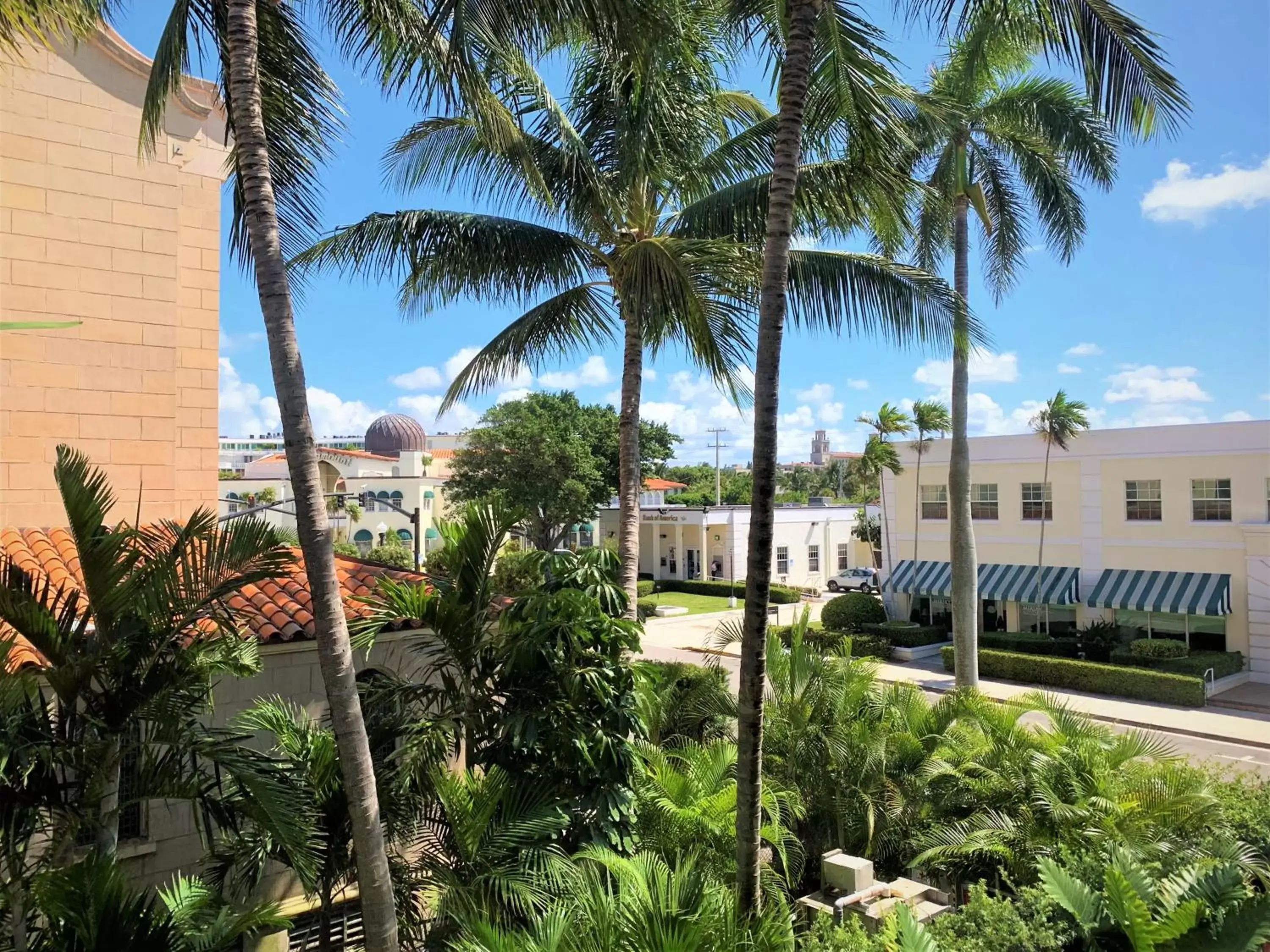 Garden view in Tropicals of Palm Beach