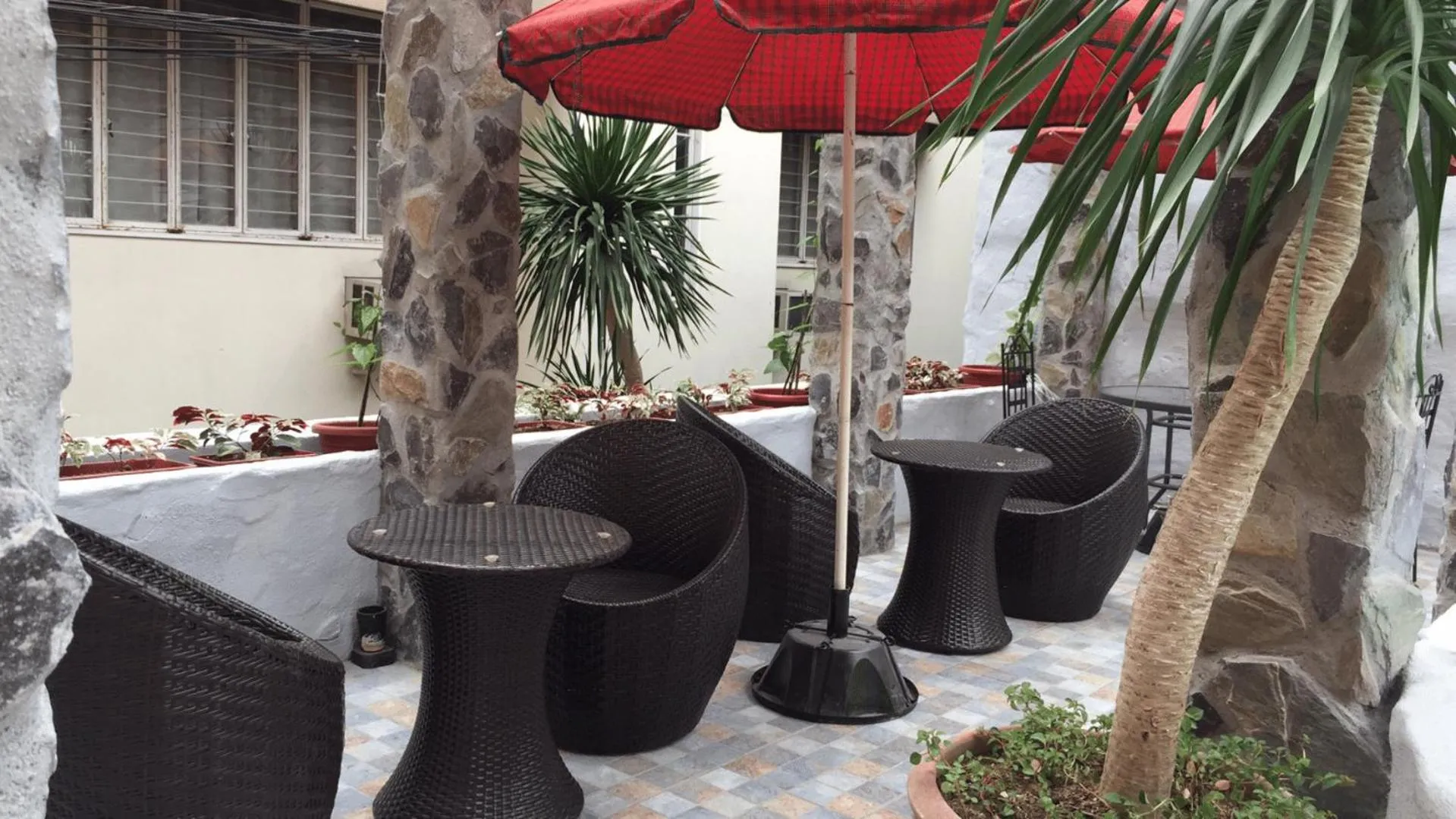 sunbed in 1775 Adriatico Suites