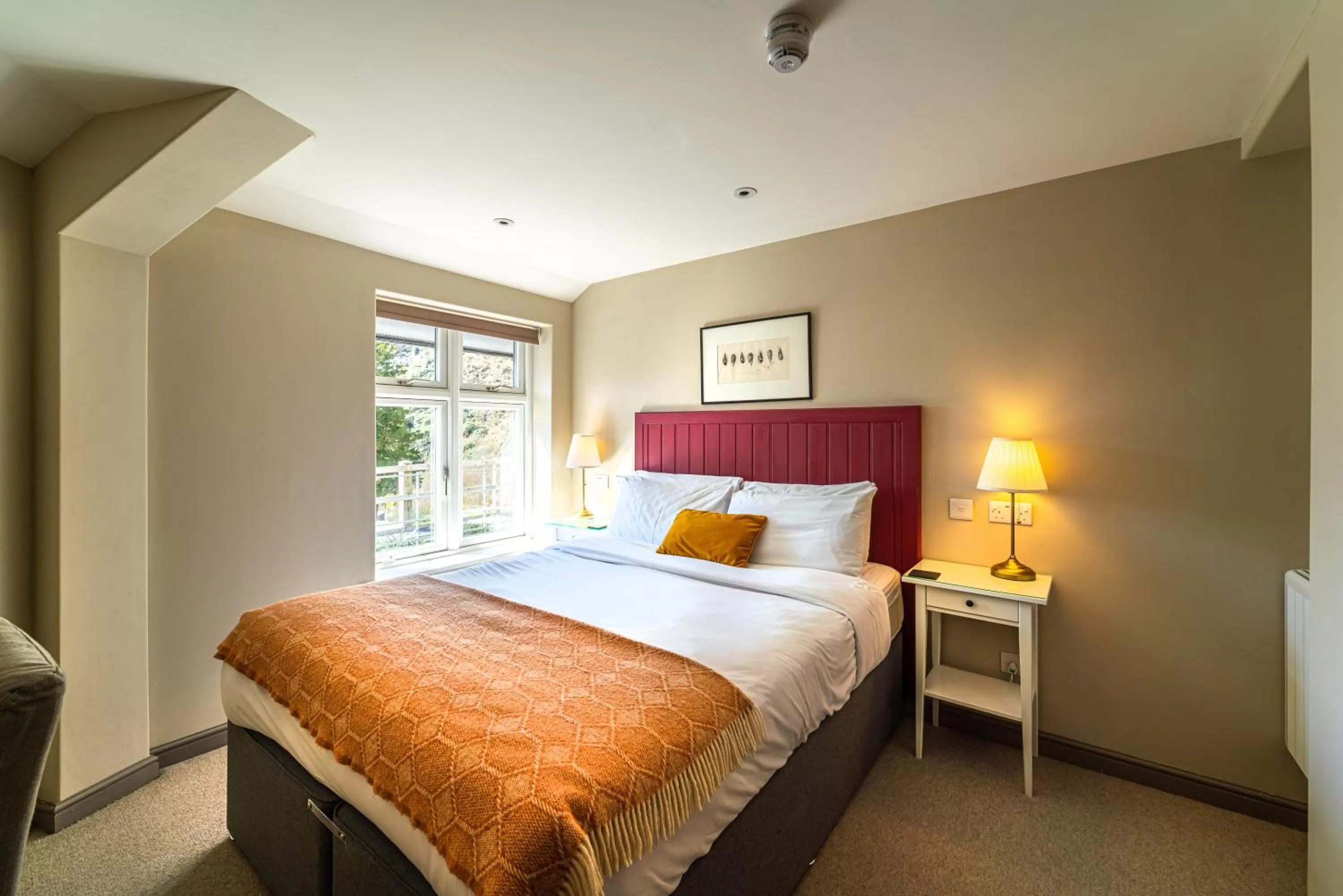 Standard King Room in Plas Weunydd