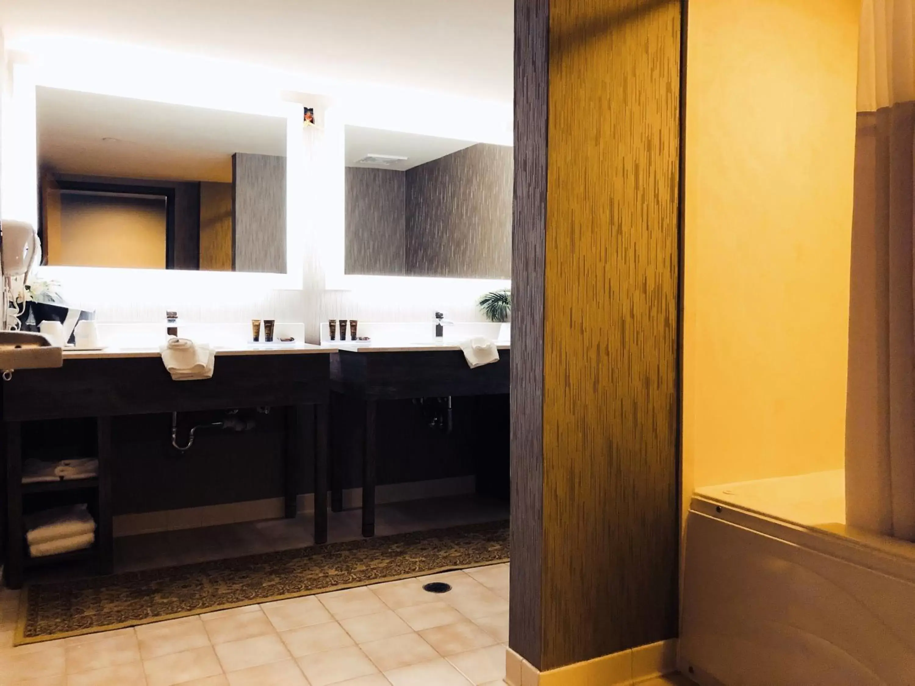 Bathroom in Comfort Inn & Suites Greenville Near Convention Center