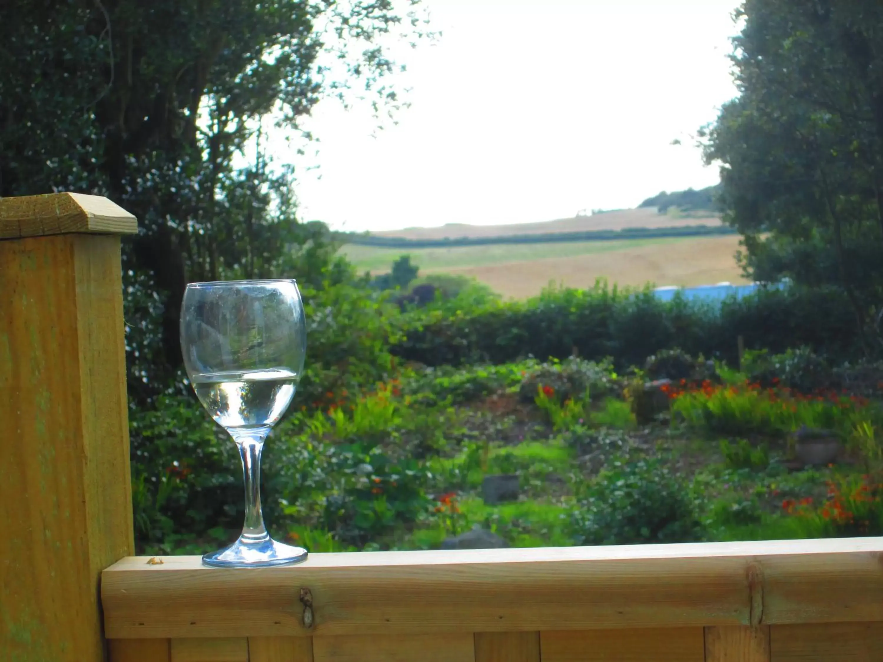 Balcony/Terrace in Weston Manor