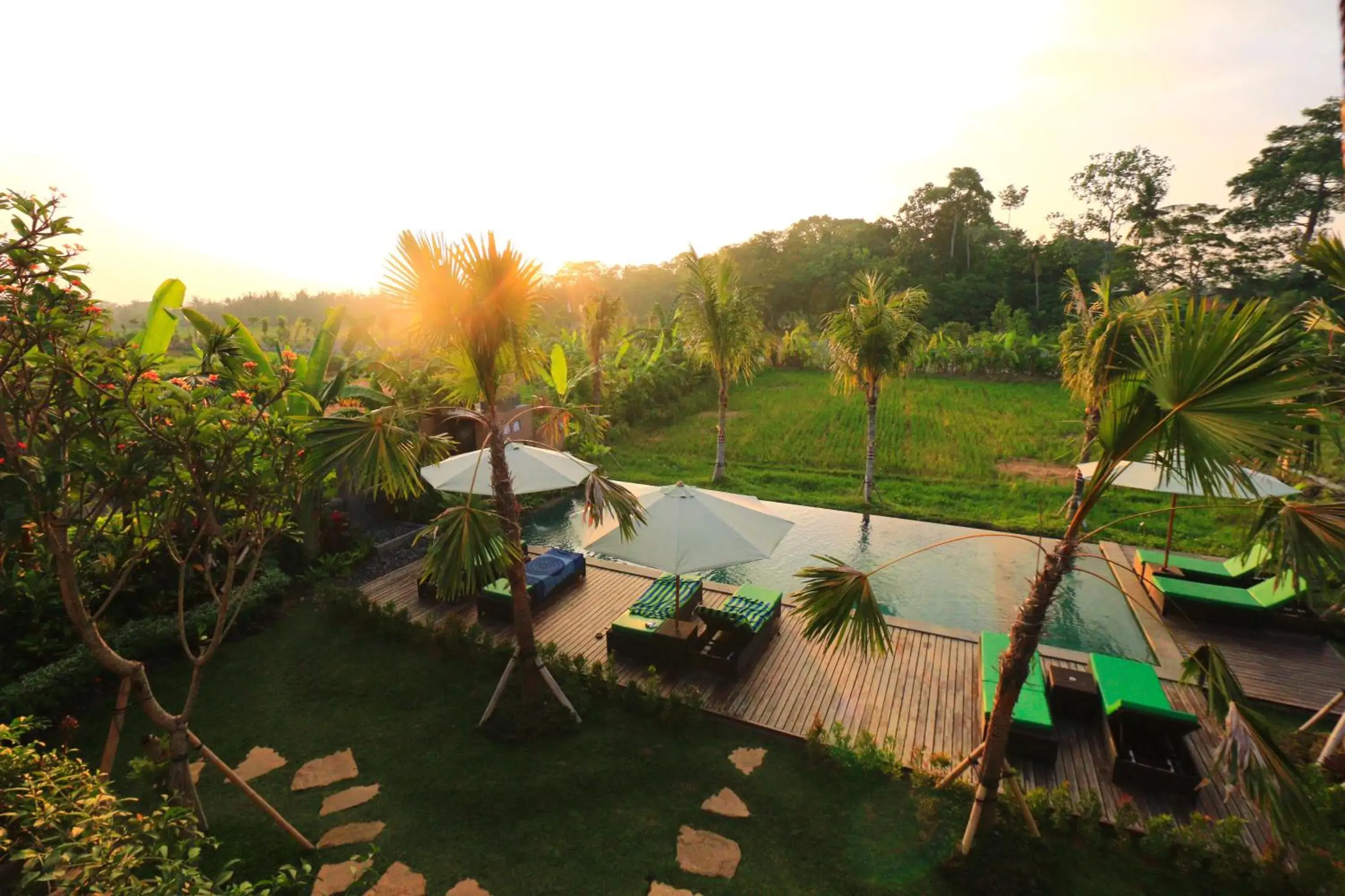 Swimming pool, Pool View in Ubud Tropical Garden