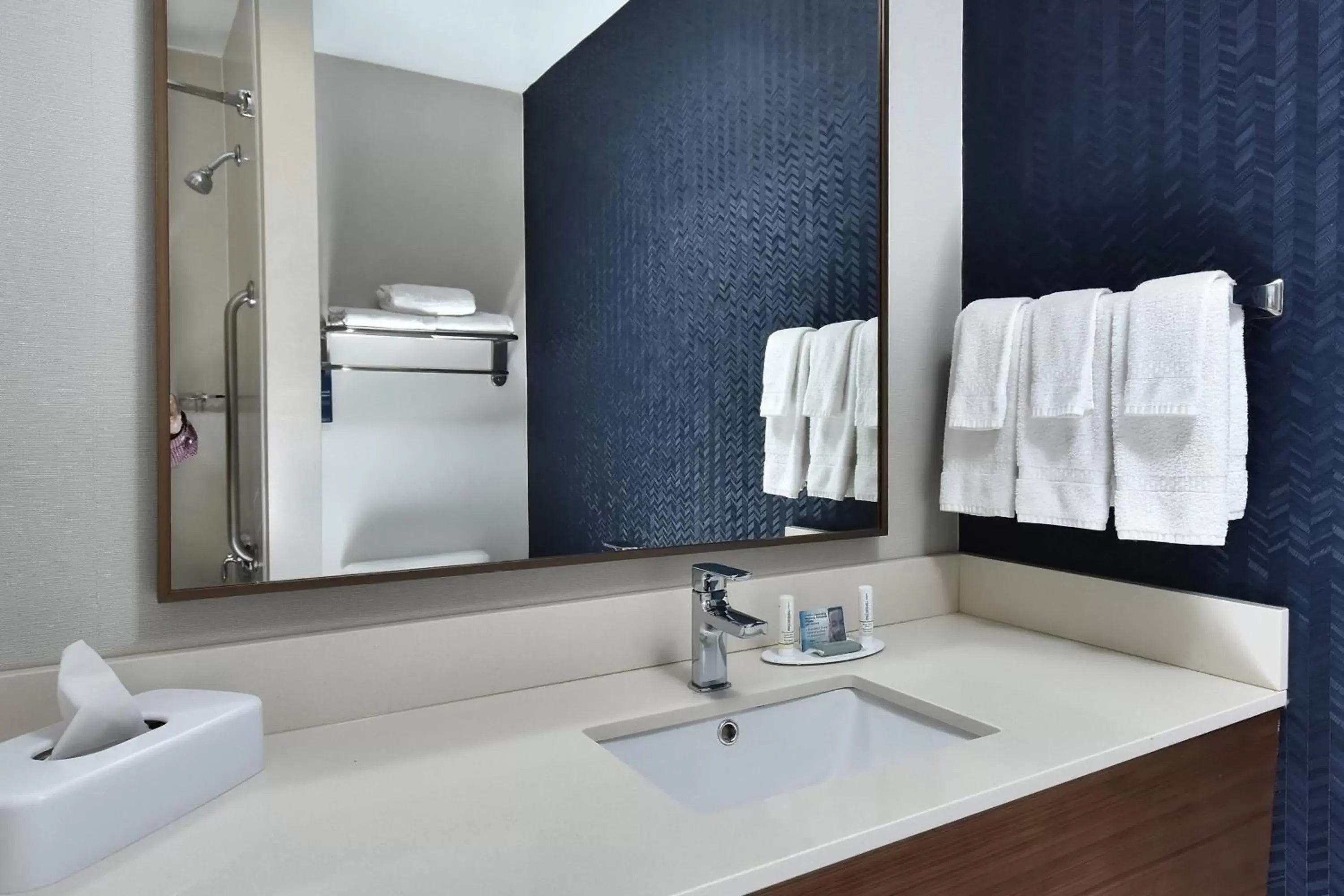 Bathroom in Fairfield Inn & Suites by Marriott Richmond Innsbrook