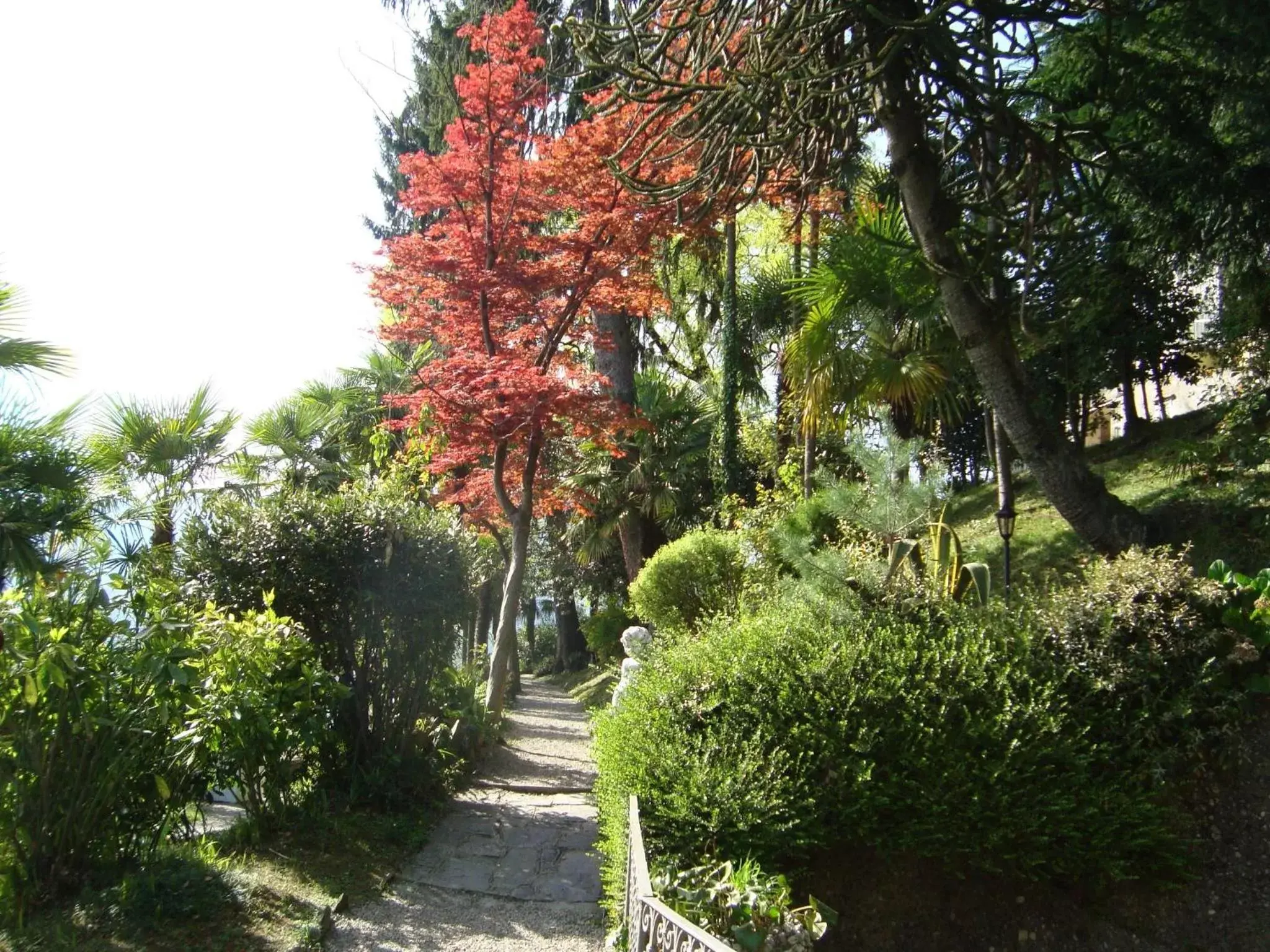 Garden in Relais Villa Porta