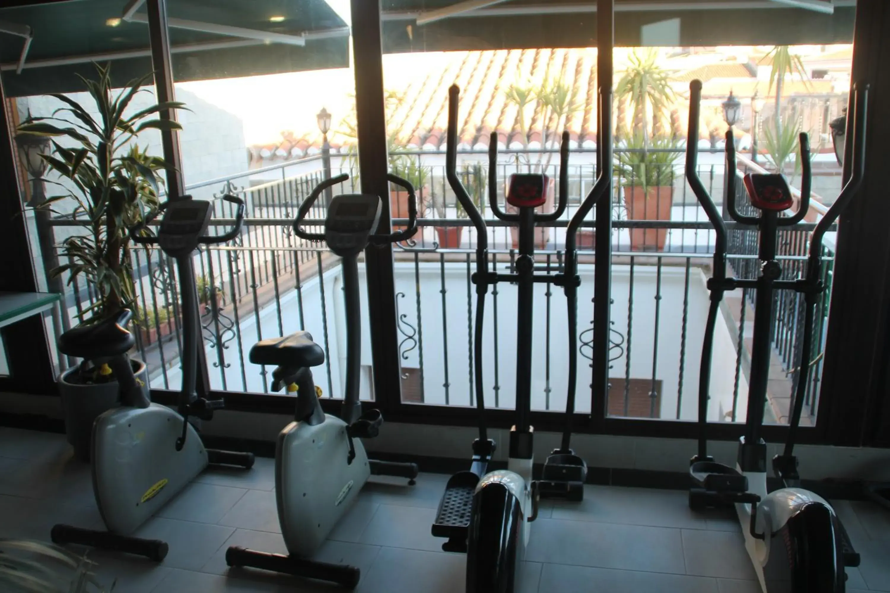Fitness centre/facilities, Fitness Center/Facilities in Hotel Palacio de Oñate