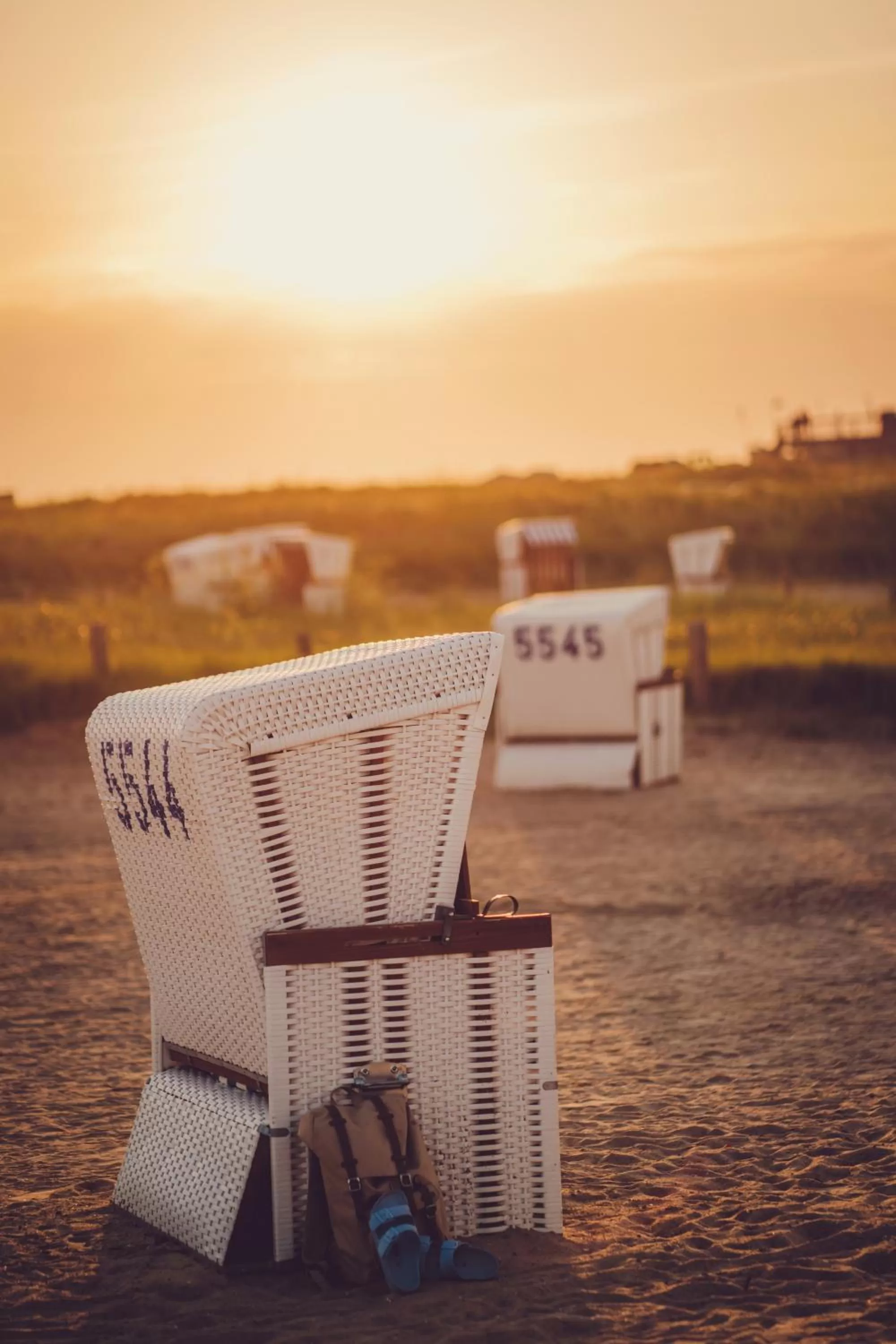 Natural landscape in nordica Hotel Friesenhof