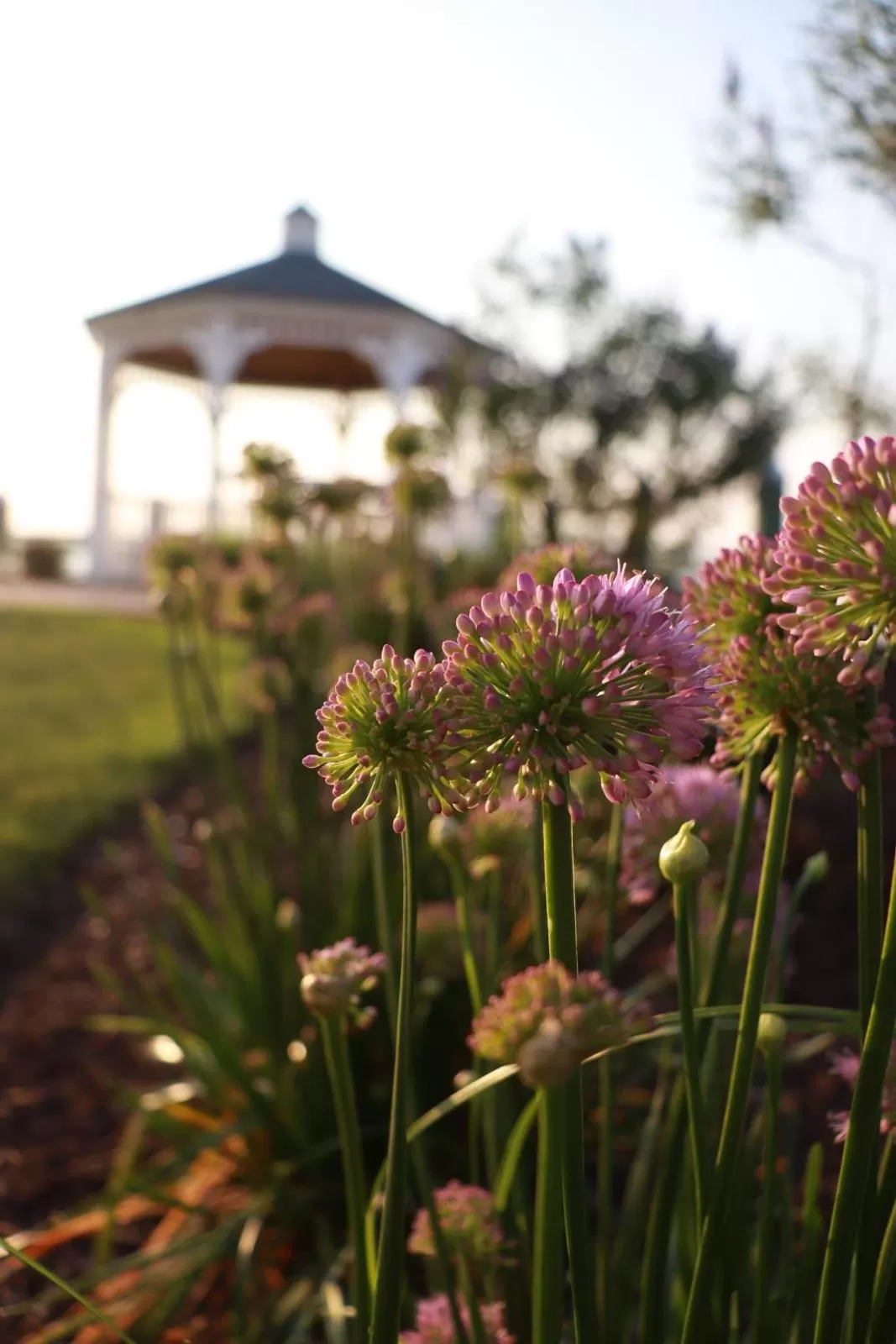Property building in Comfort Suites Chincoteague Island Bayfront Resort