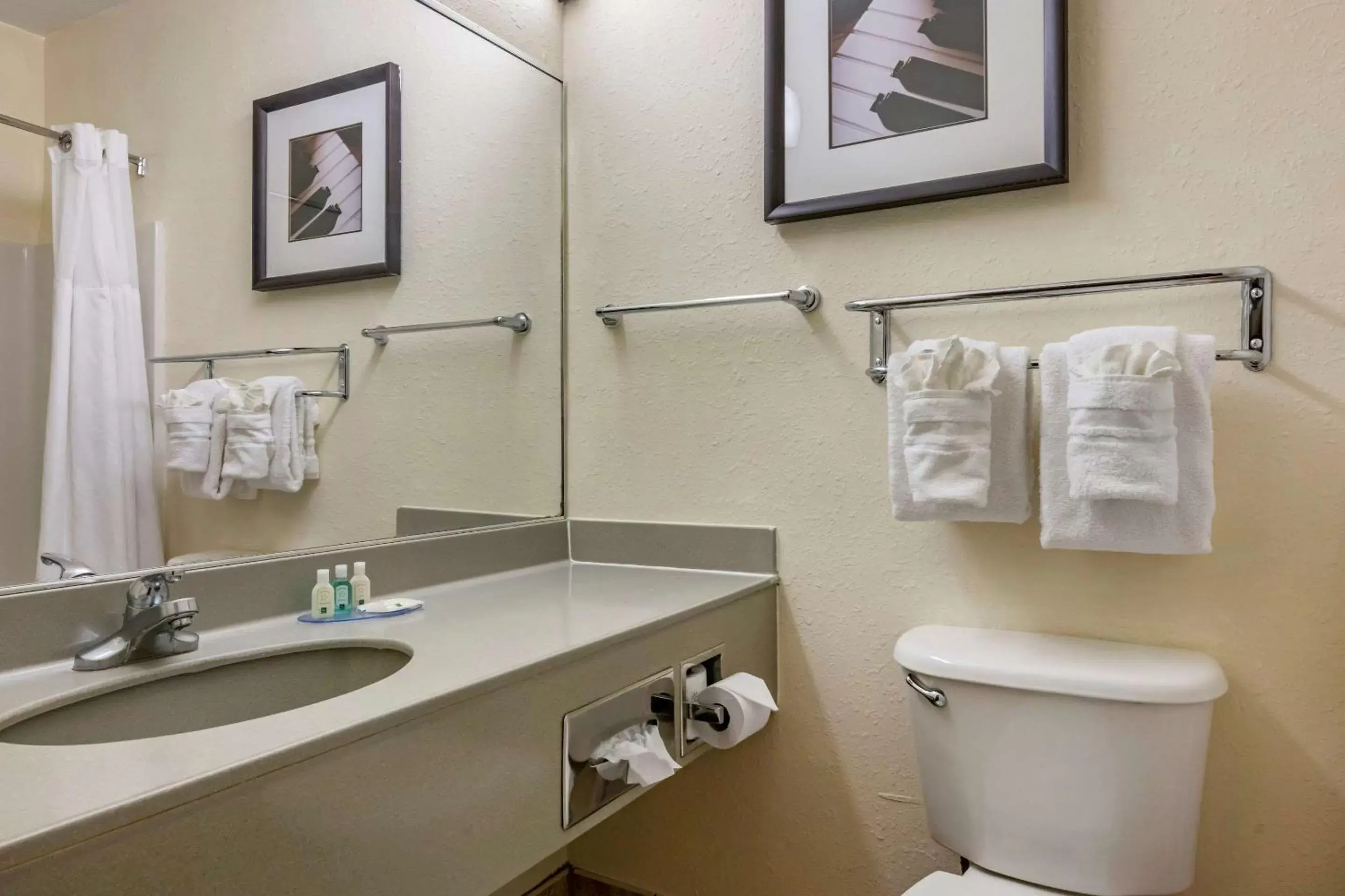 Bathroom in Quality Inn Zephyrhills-Dade City