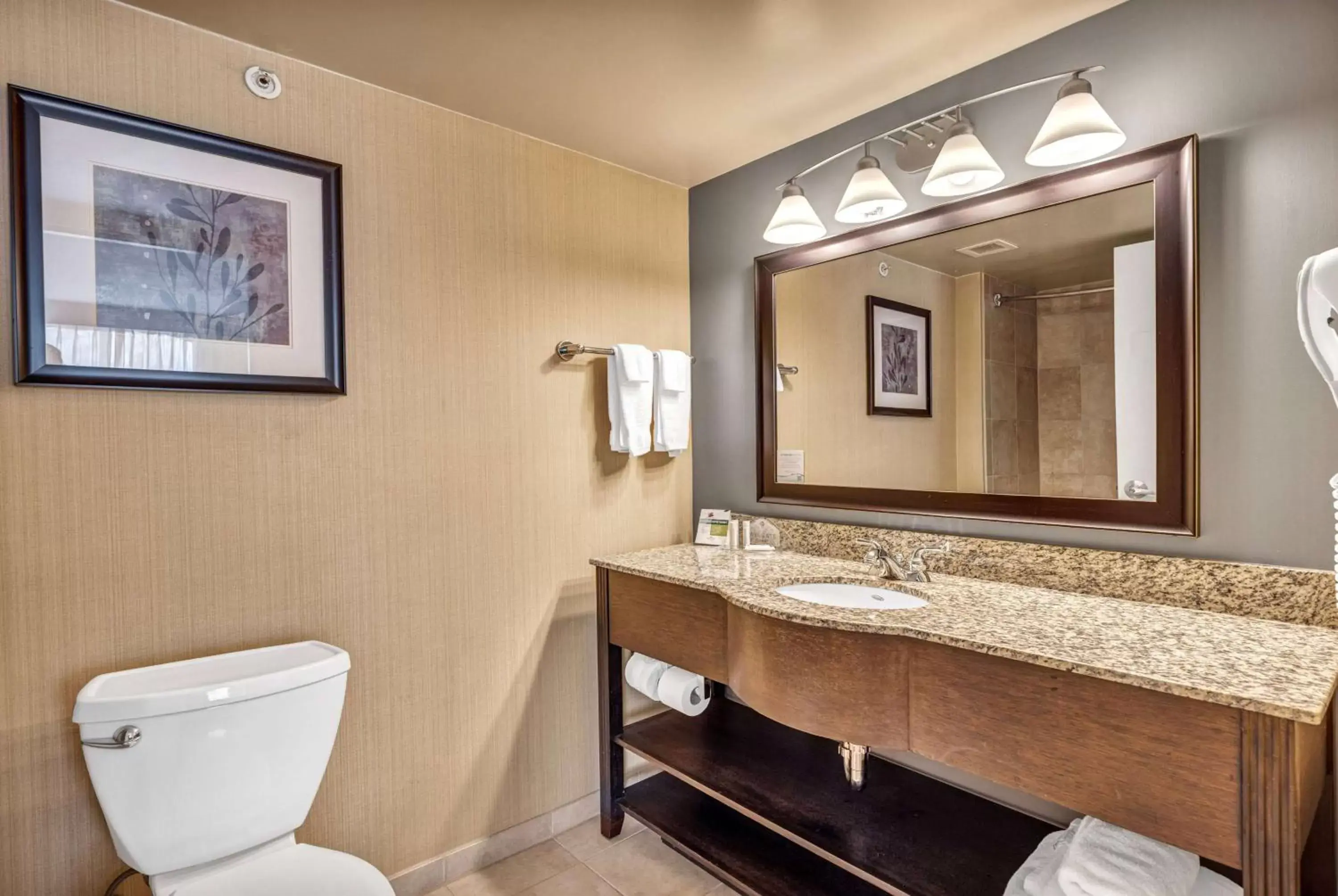 TV and multimedia, Bathroom in Wingate by Wyndham State Arena Raleigh/Cary Hotel