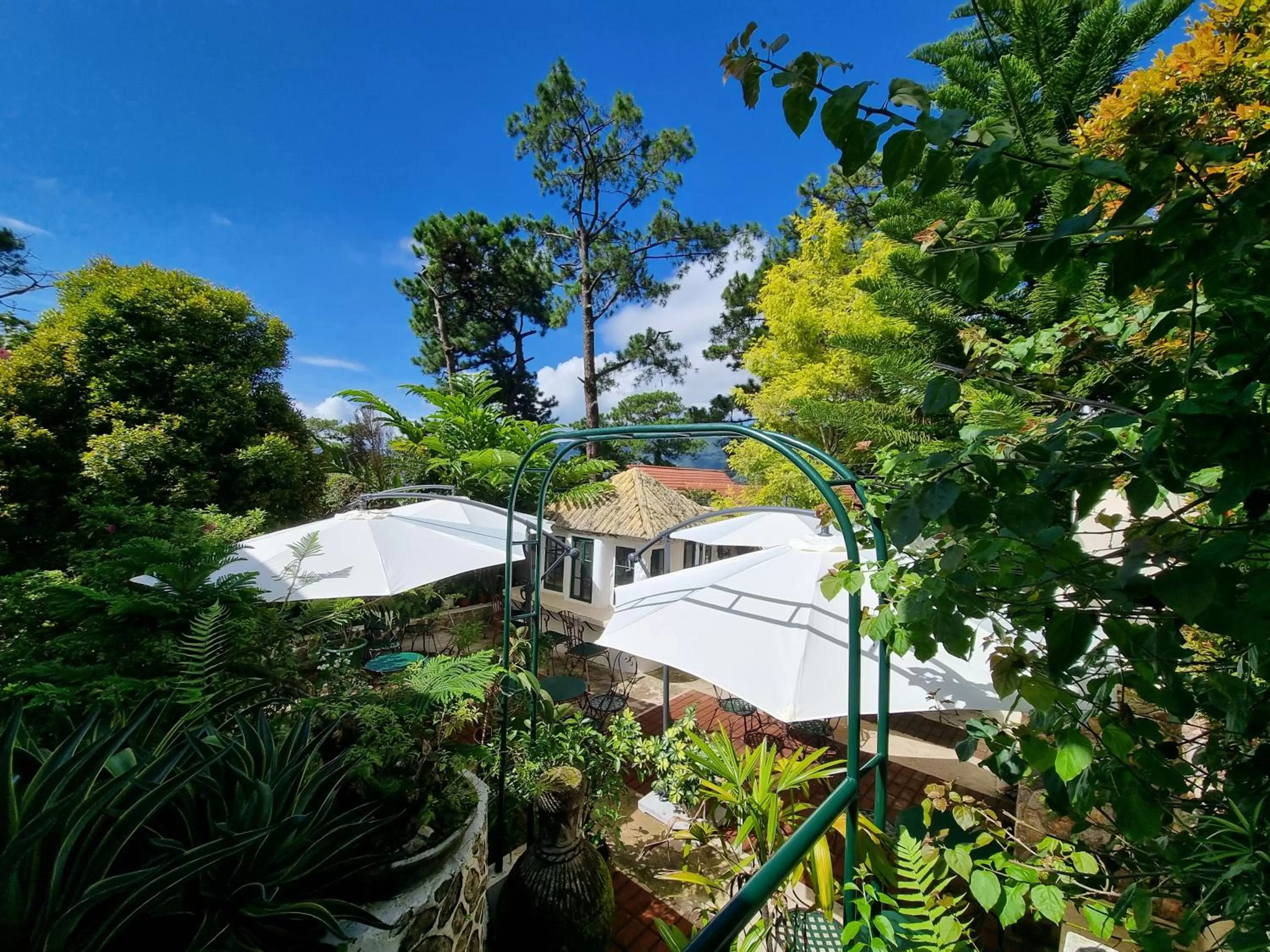 Garden, Pool View in Guesthaven Baguio Bed and Breakfast