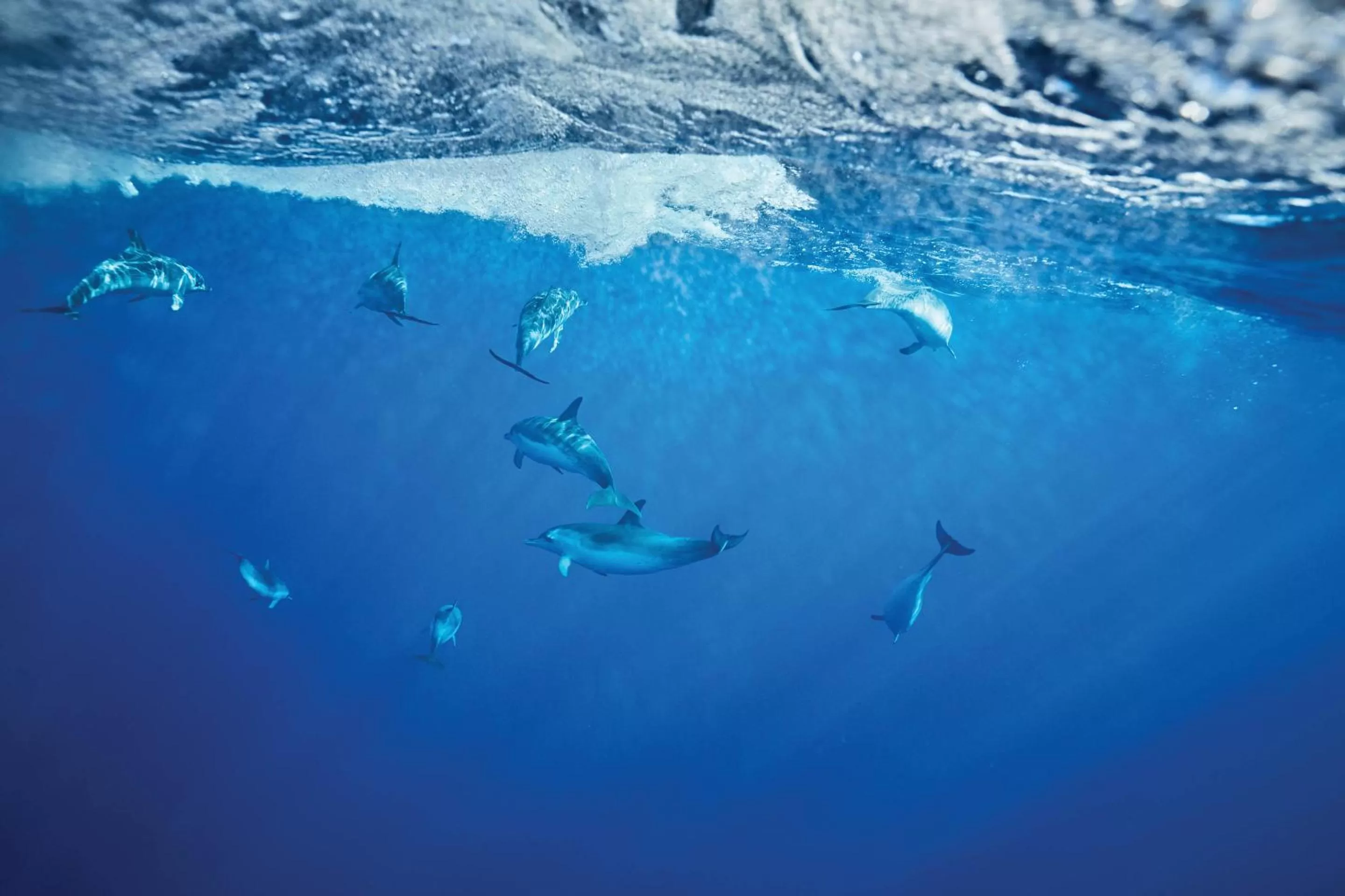 Natural landscape in Reid's Palace, A Belmond Hotel, Madeira