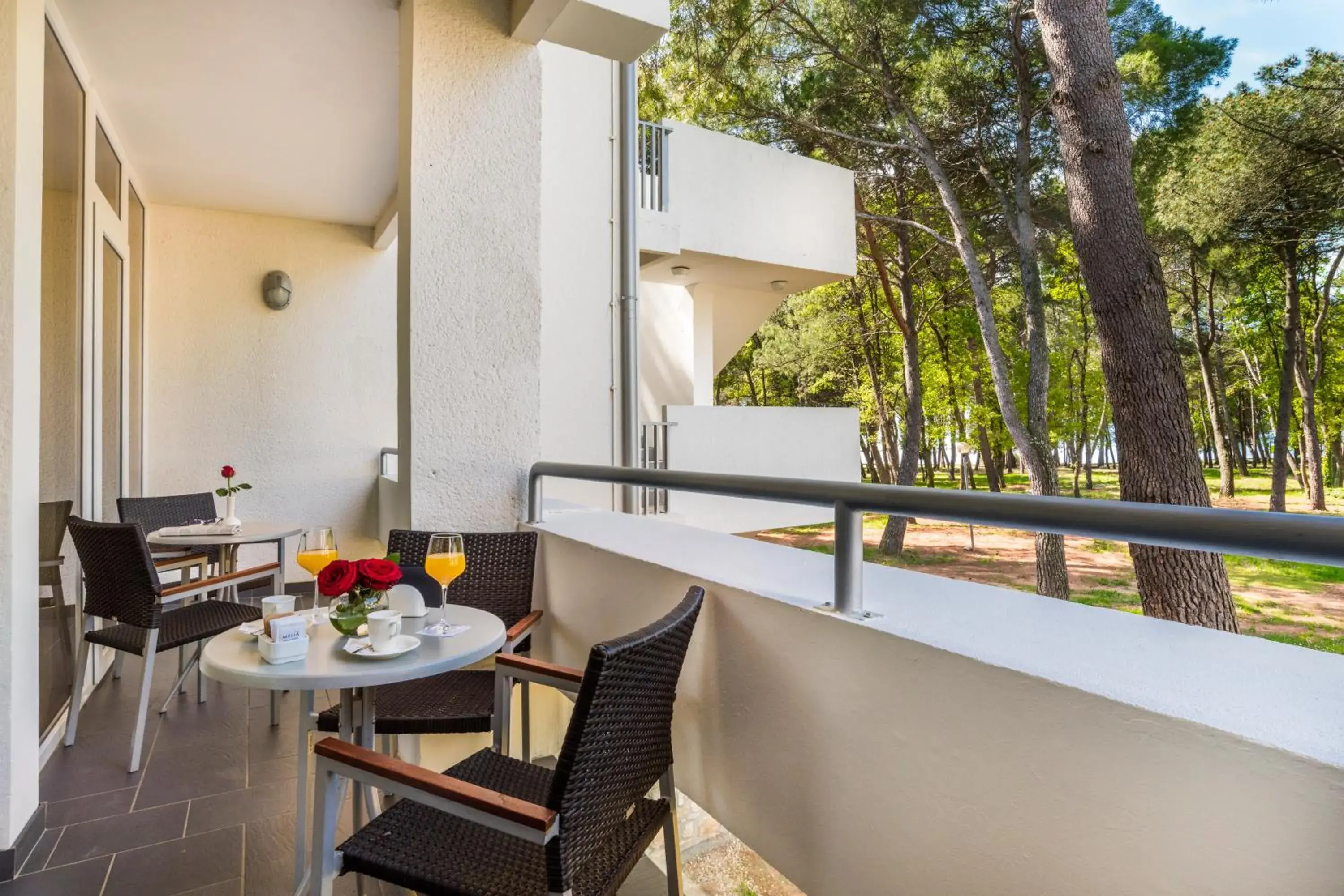 Balcony/Terrace in Hotel Melia Coral for Plava Laguna