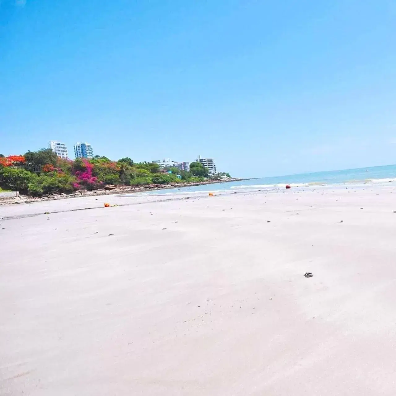 Natural landscape, Beach in Birds and Bees Resort