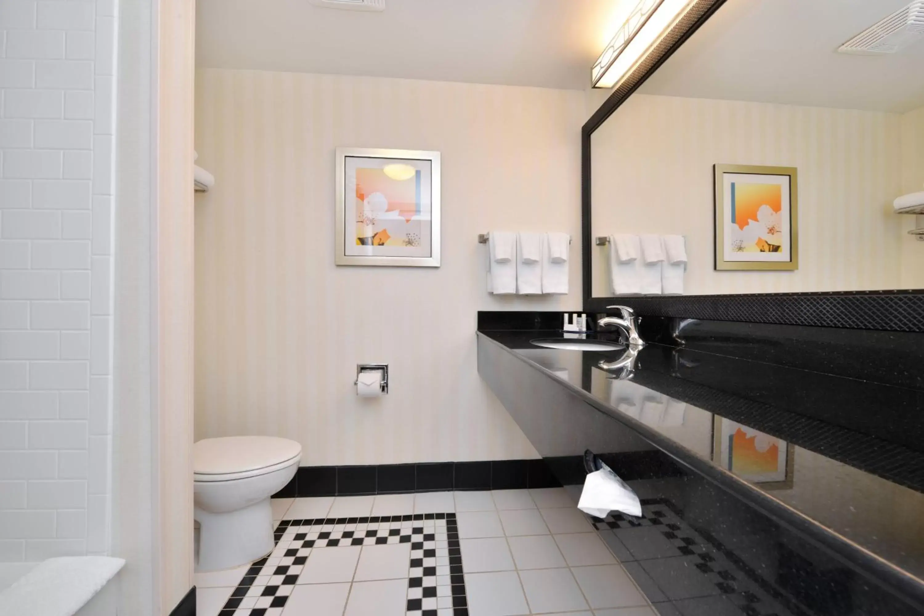 Bathroom in Fairfield Inn and Suites by Marriott Asheboro