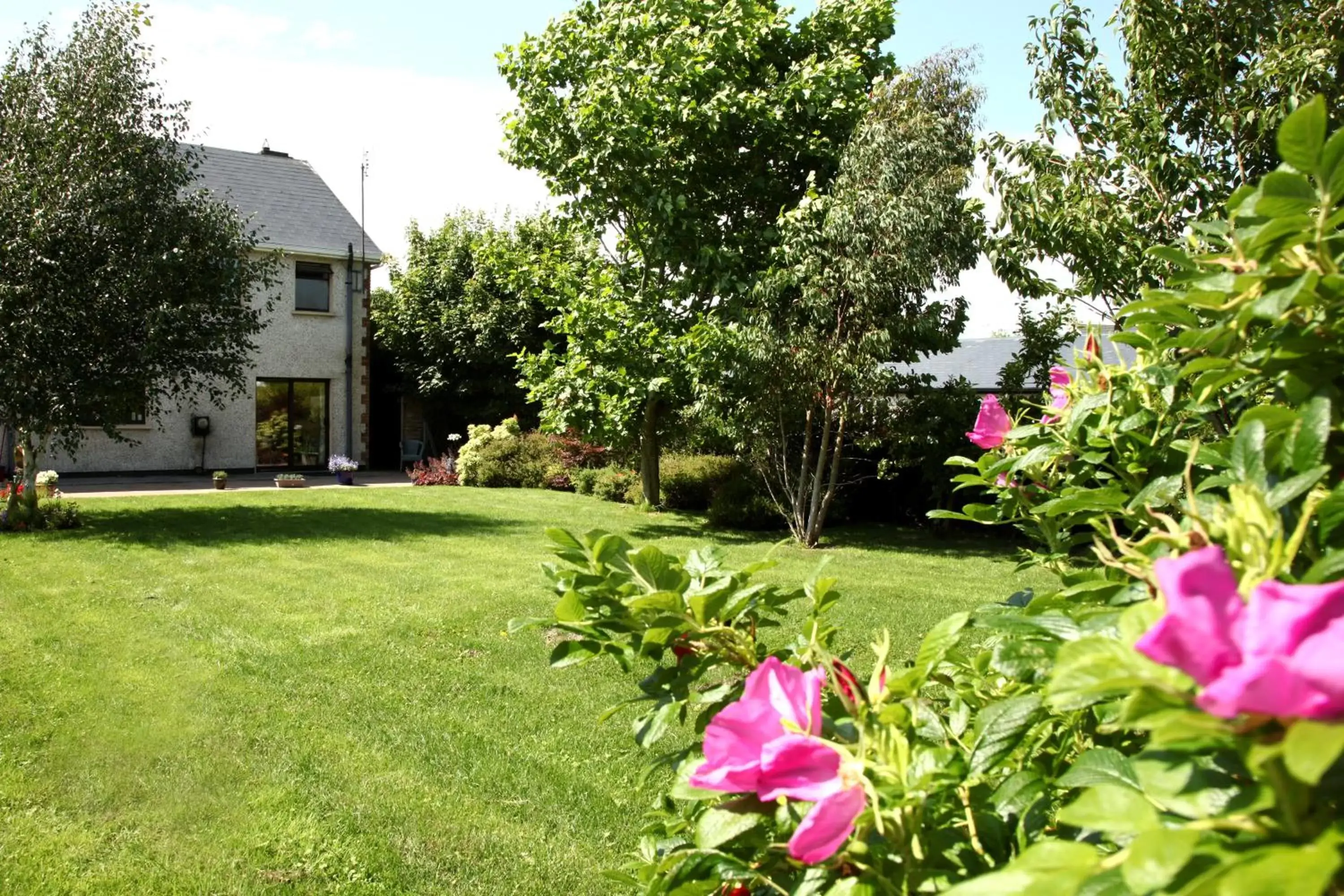 Garden, Property Building in Doogarry House B&B